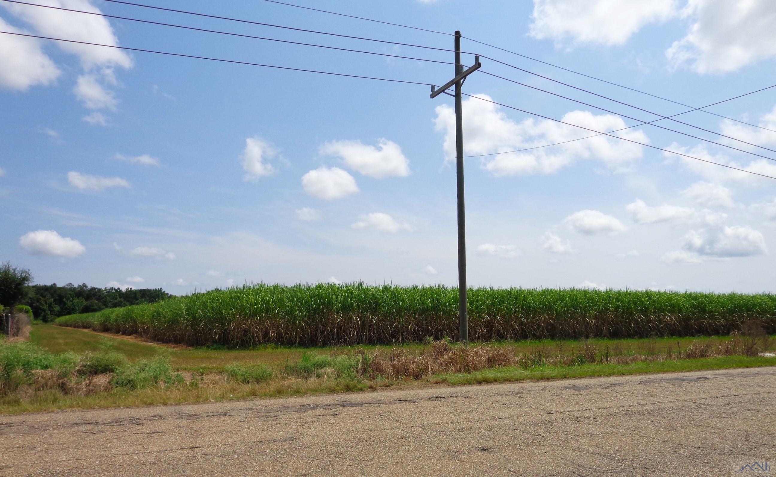 1045 Yokely Rd, Franklin, Louisiana image 1