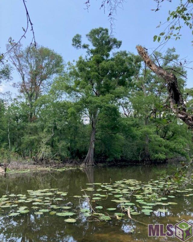 21404 La Hwy 22, Maurepas, Louisiana image 6