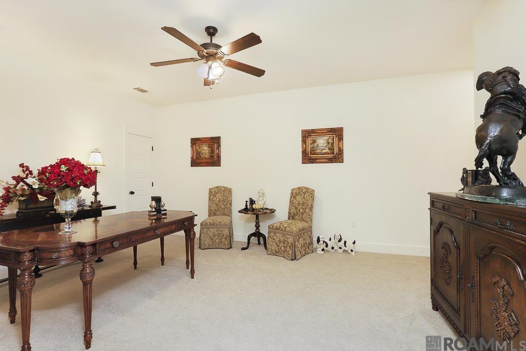 13221 Magnolia Square Dr, Baton Rouge, Louisiana image 23