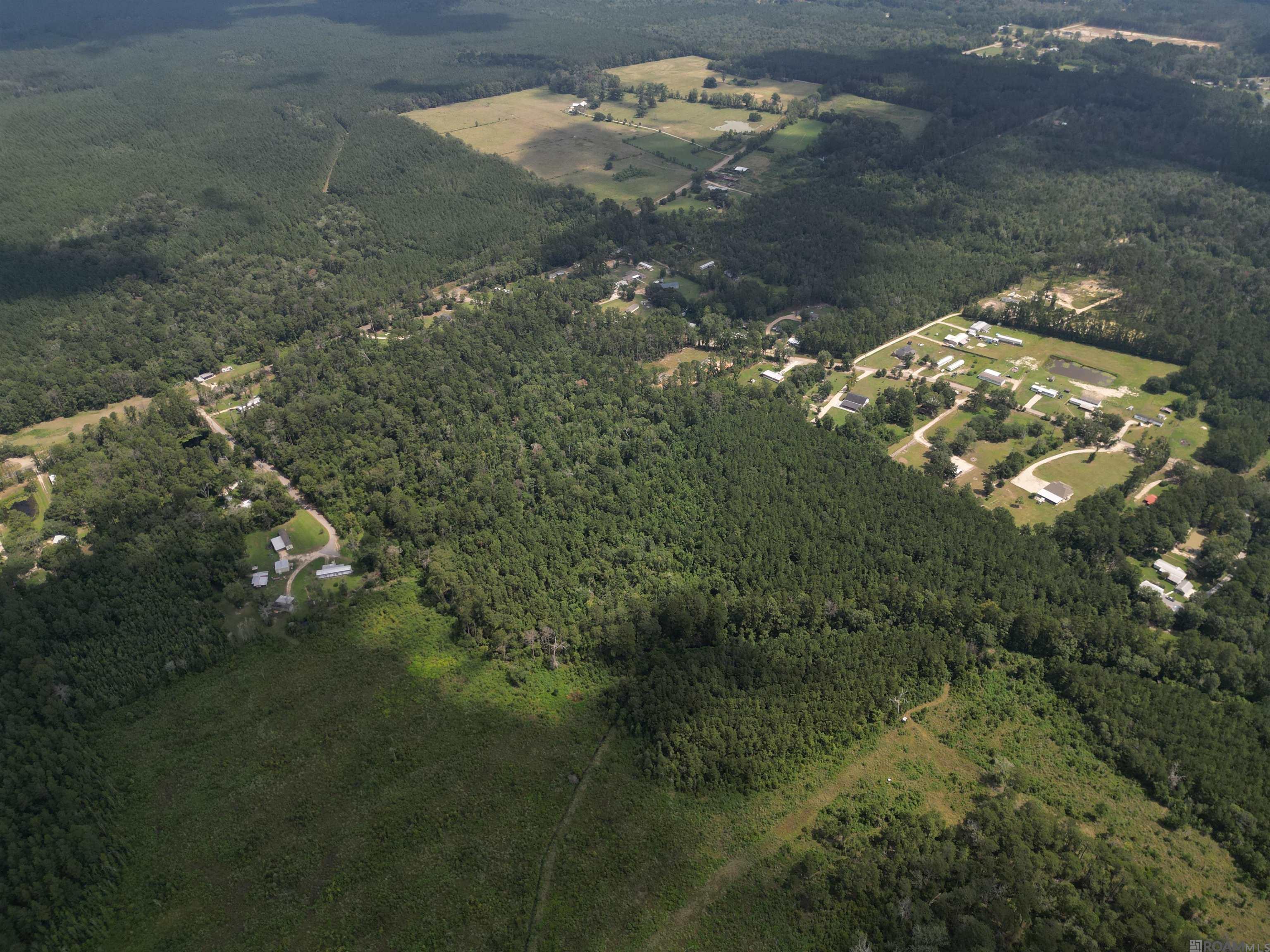 TBD Pea Ridge Rd, Albany, Louisiana image 5