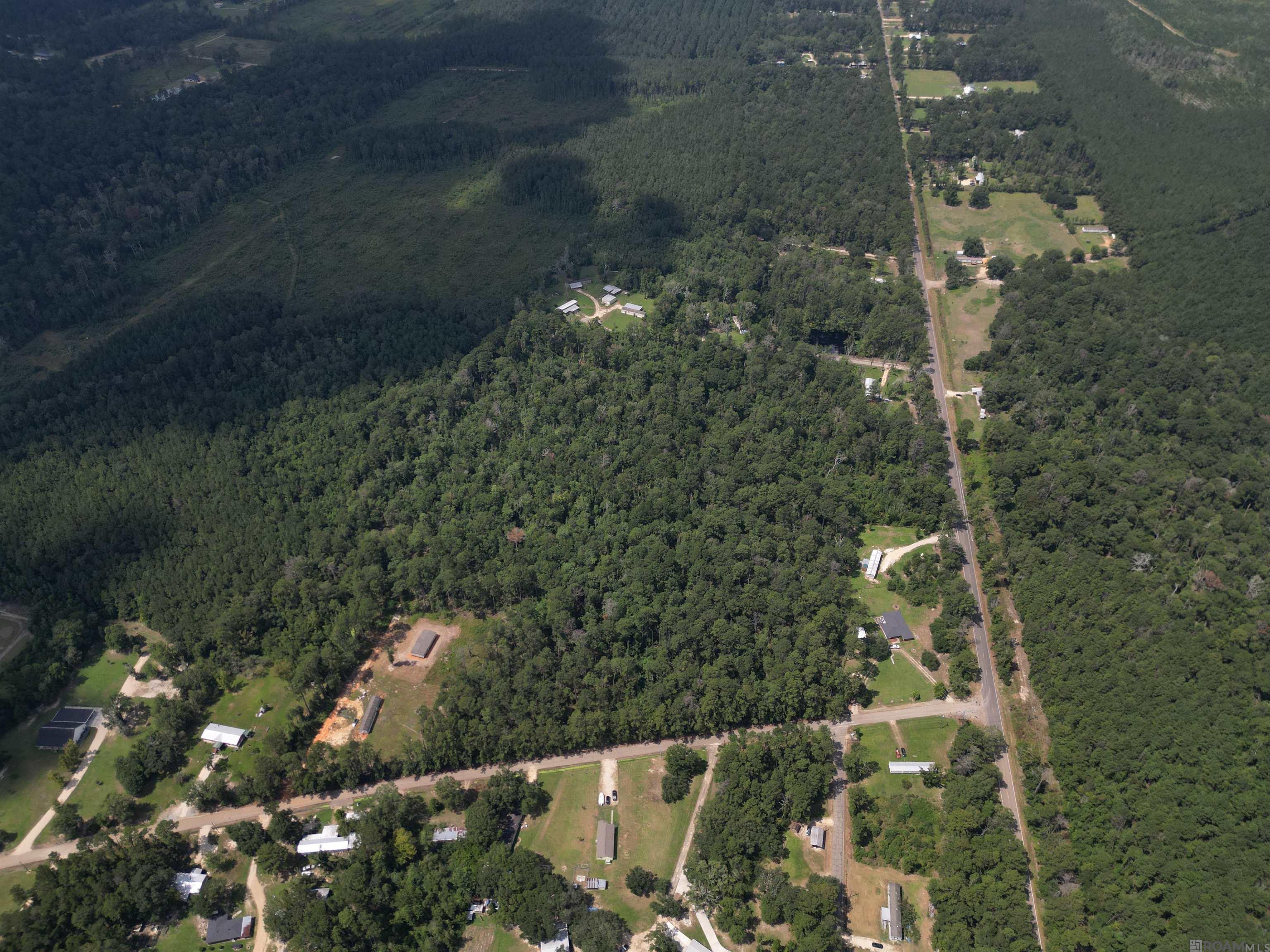 TBD Pea Ridge Rd, Albany, Louisiana image 8