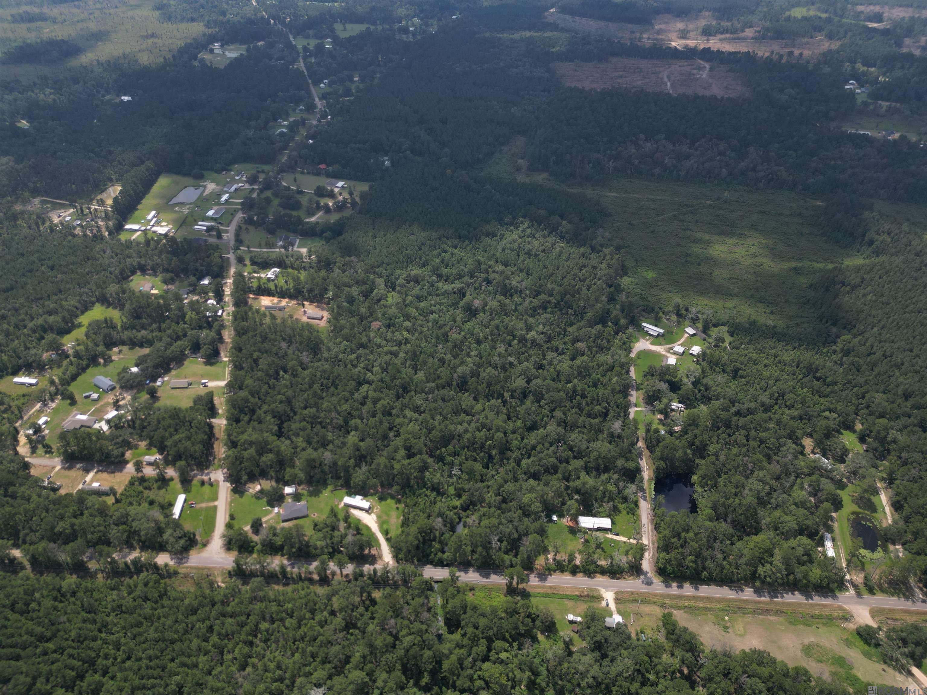 TBD Pea Ridge Rd, Albany, Louisiana image 10