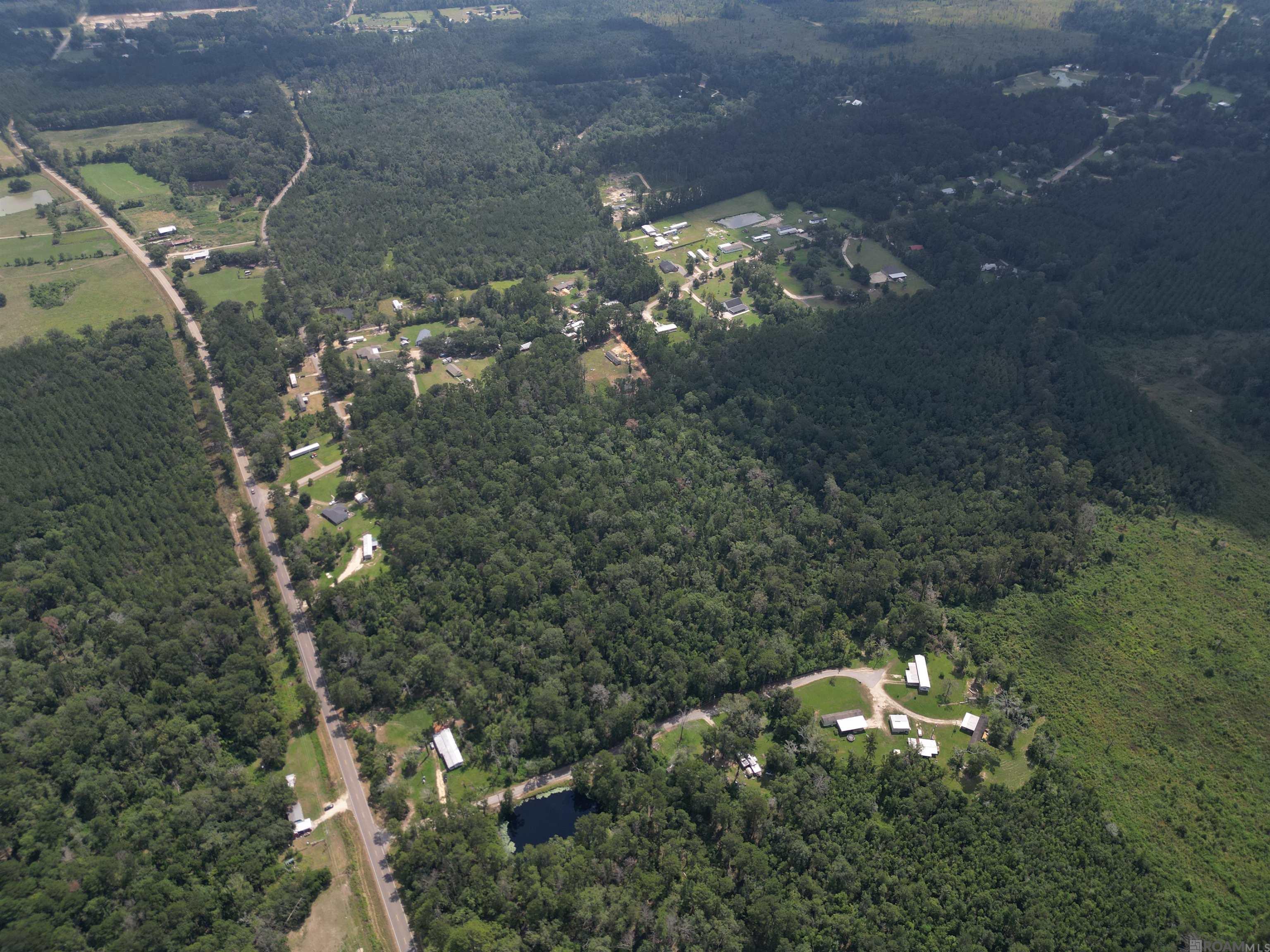 TBD Pea Ridge Rd, Albany, Louisiana image 11