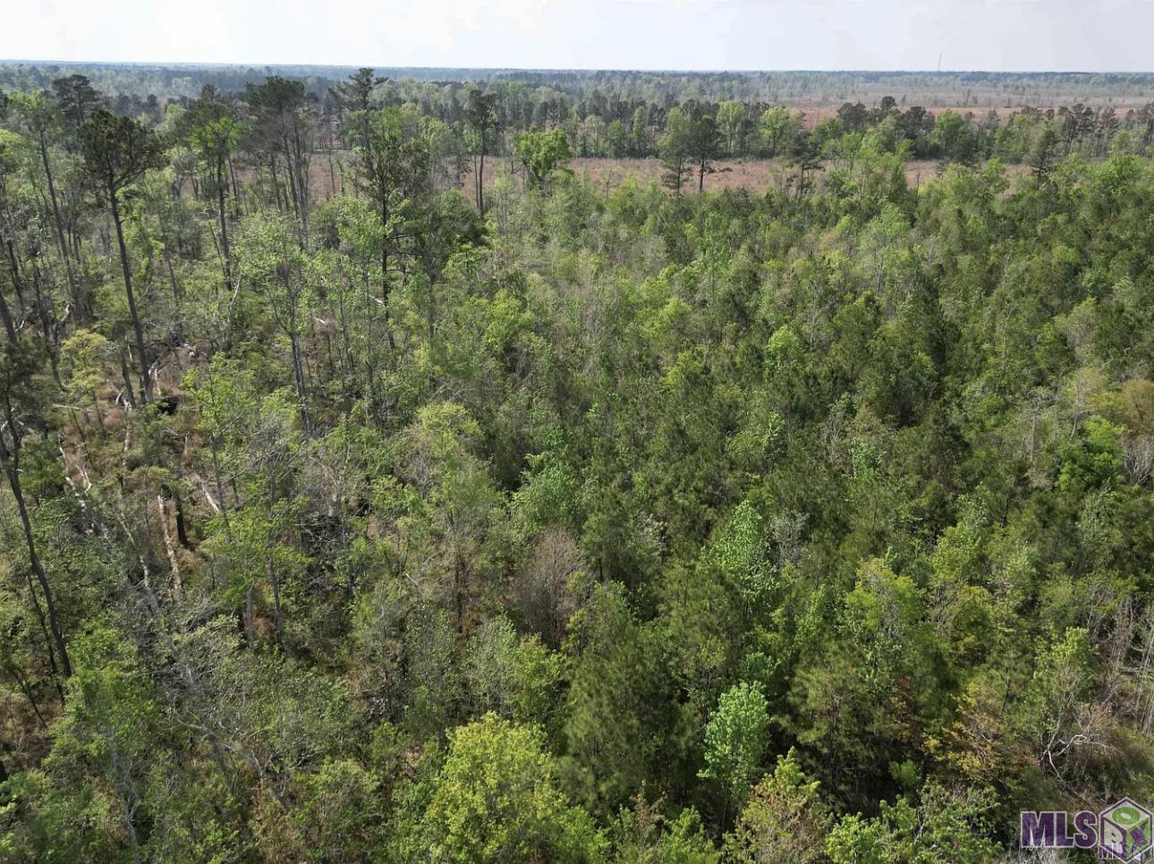 10 Acres La Hwy 63, Livingston, Louisiana image 8