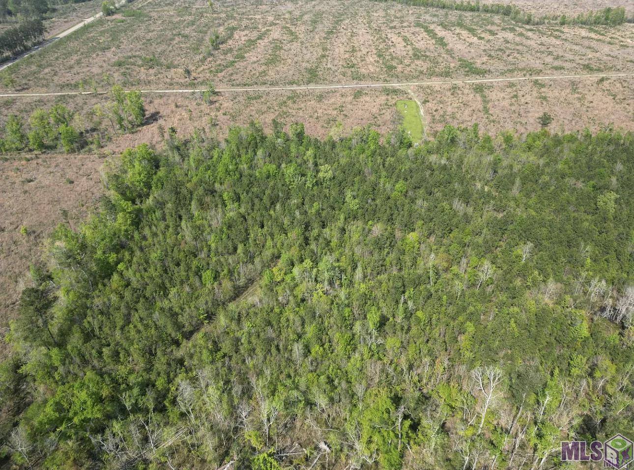 10 Acres La Hwy 63, Livingston, Louisiana image 18