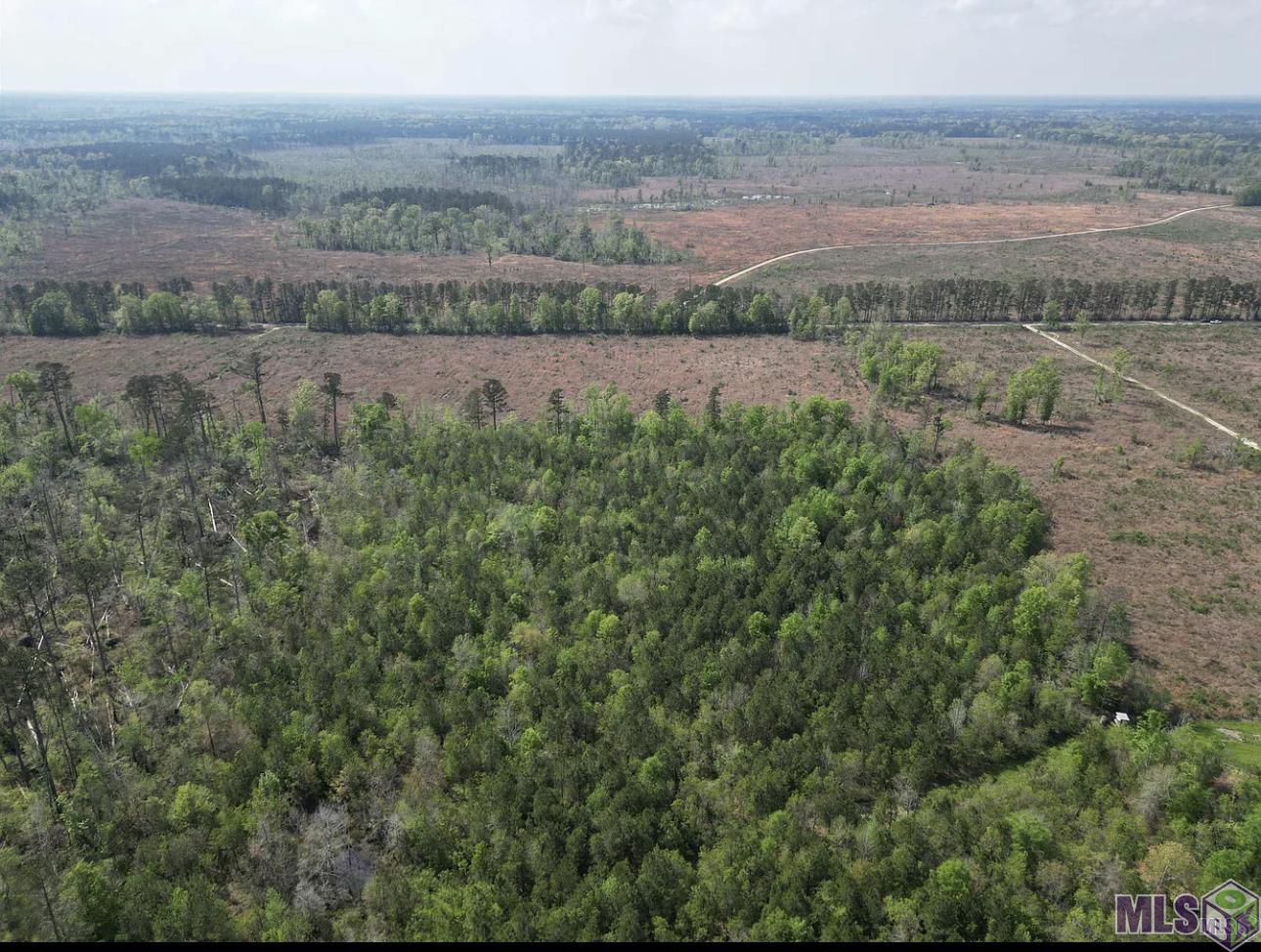 10 Acres La Hwy 63, Livingston, Louisiana image 16