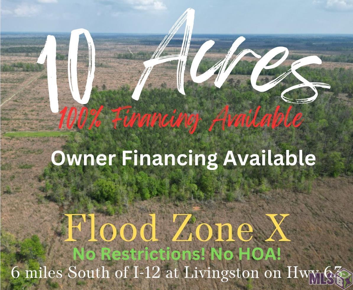 10 Acres La Hwy 63, Livingston, Louisiana image 1