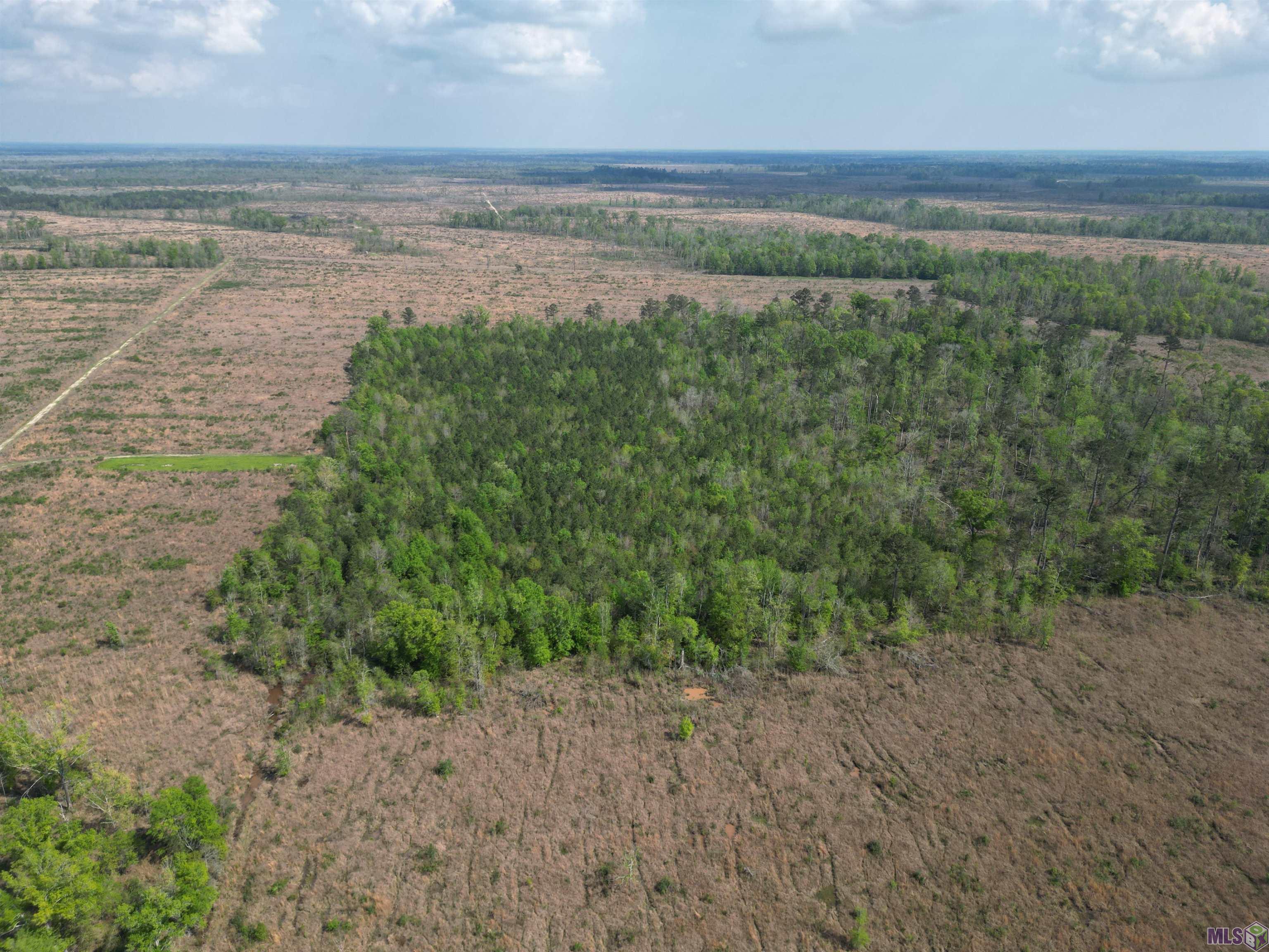 10 Acres La Hwy 63, Livingston, Louisiana image 5