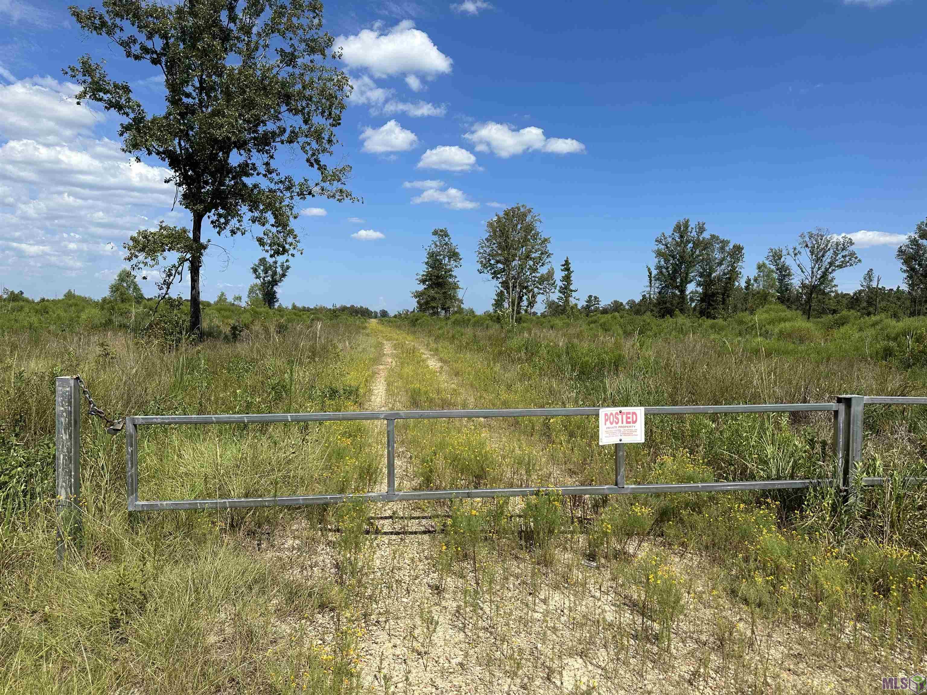 10 Acres La Hwy 63, Livingston, Louisiana image 19