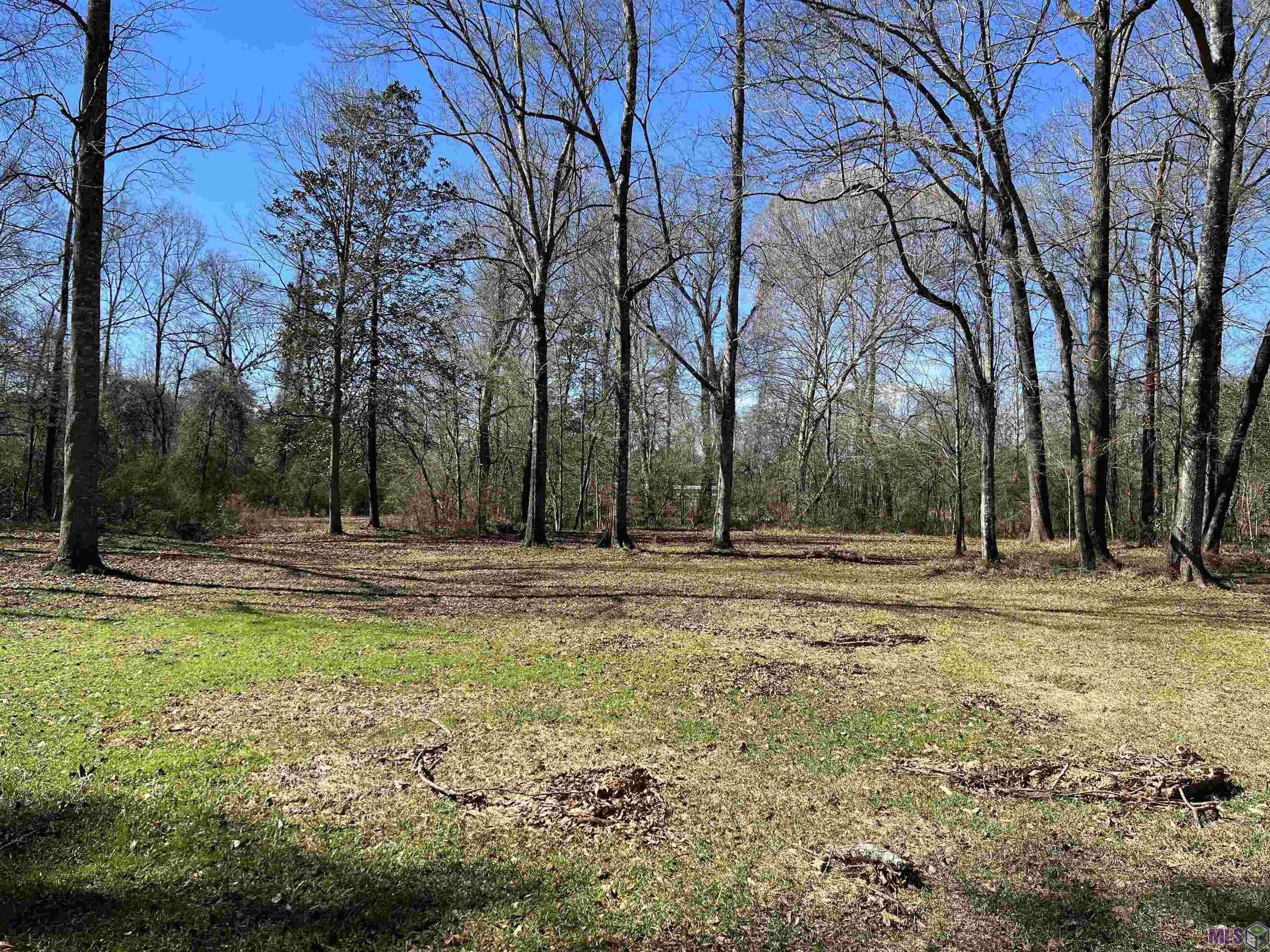 282 Price Rd, Clinton, Louisiana image 3