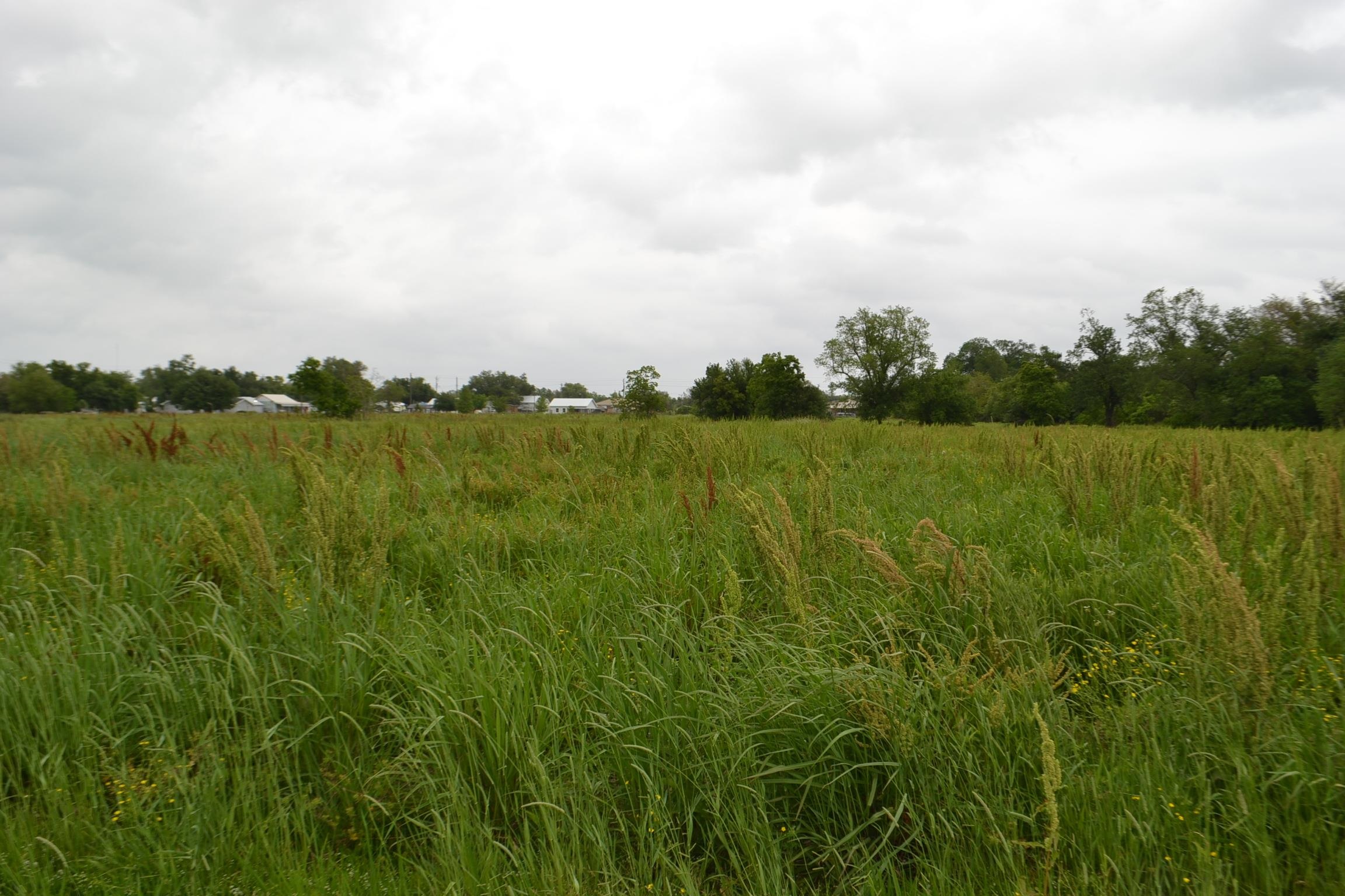 TBD Alex Plaisance Boulevard, Golden Meadow, Louisiana image 21