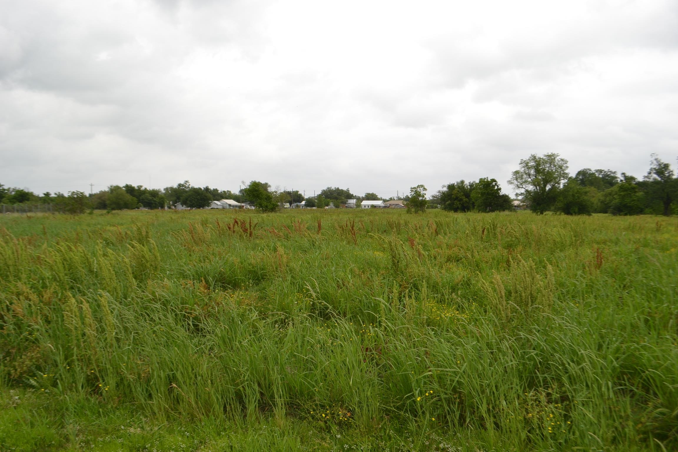 TBD Alex Plaisance Boulevard, Golden Meadow, Louisiana image 20