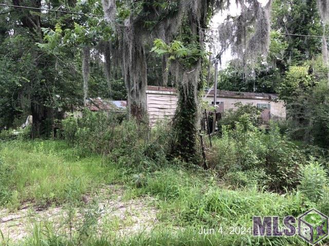 14847 Switch Rd, French Settlement, Louisiana image 8