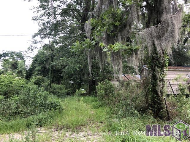 14847 Switch Rd, French Settlement, Louisiana image 11