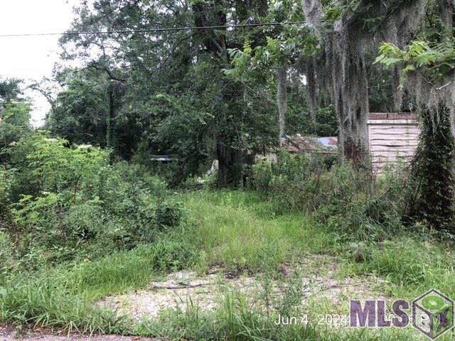 14847 Switch Rd, French Settlement, Louisiana image 7