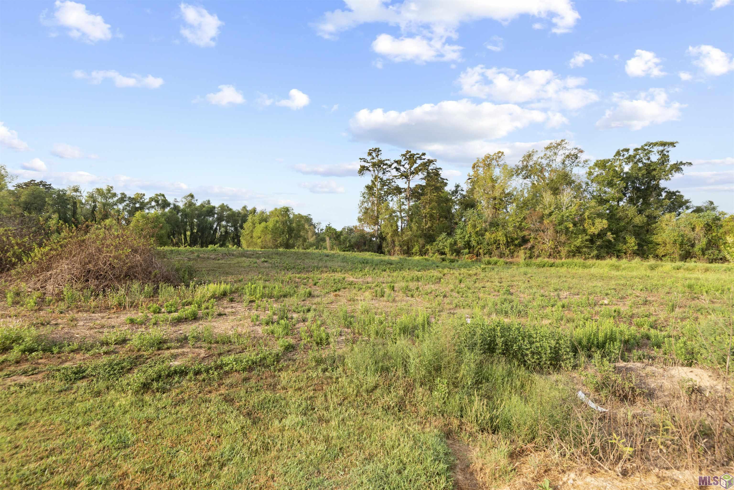 LOT 7-A Scott Ln, Prairieville, Louisiana image 2