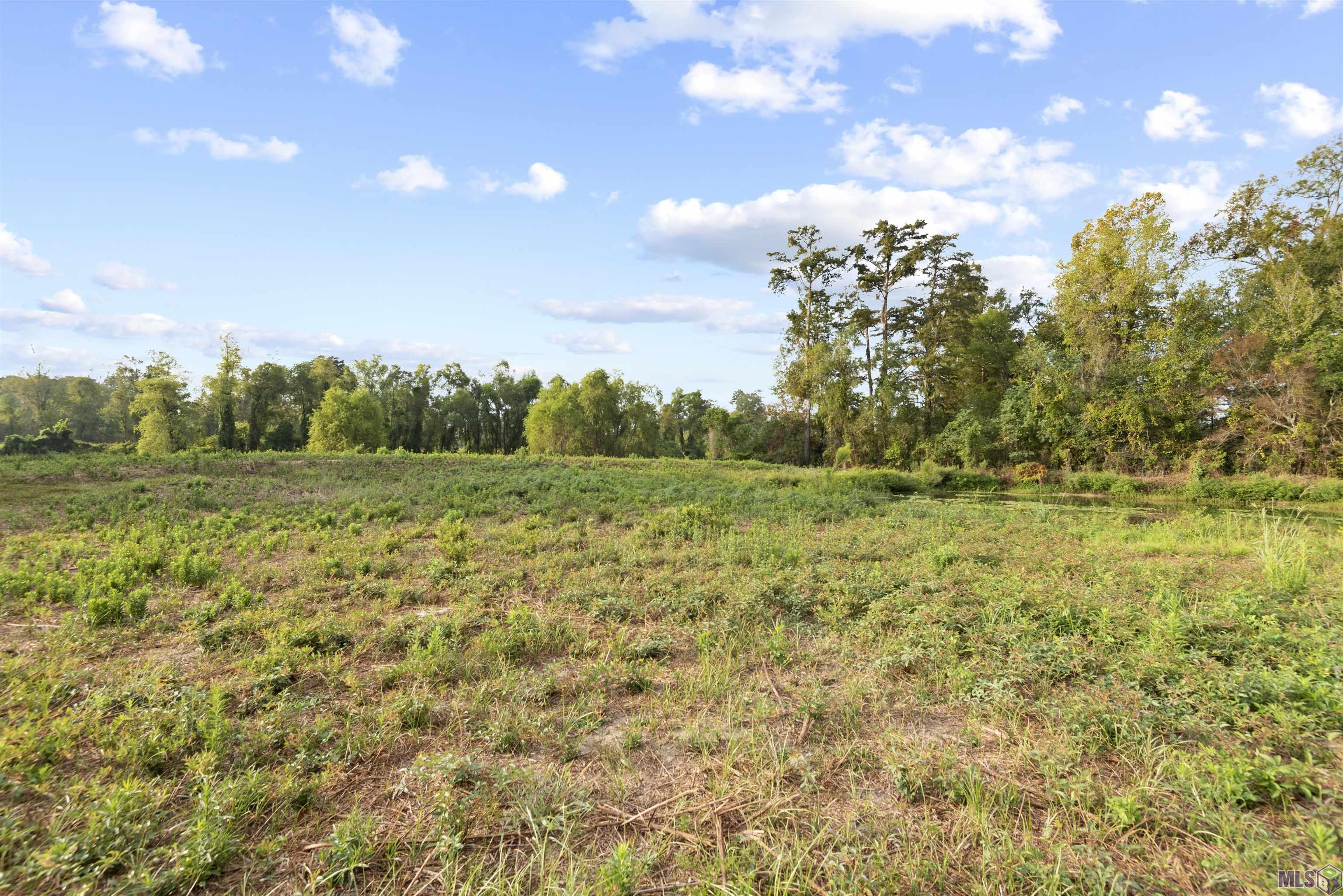 LOT 7-A Scott Ln, Prairieville, Louisiana image 4