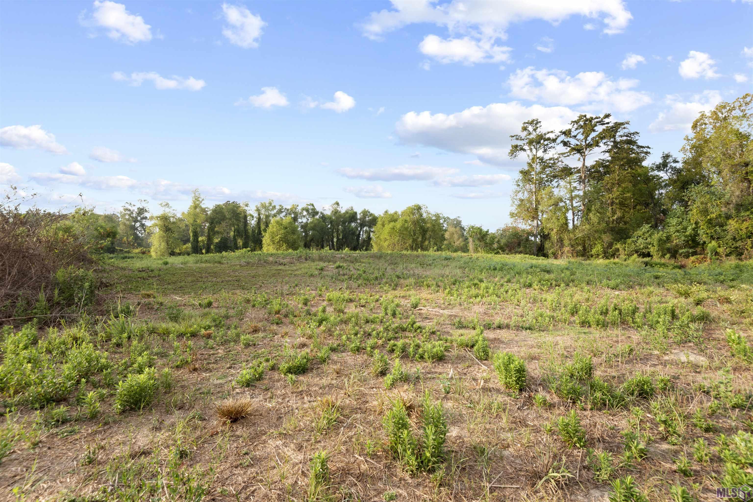 LOT 7-A Scott Ln, Prairieville, Louisiana image 3