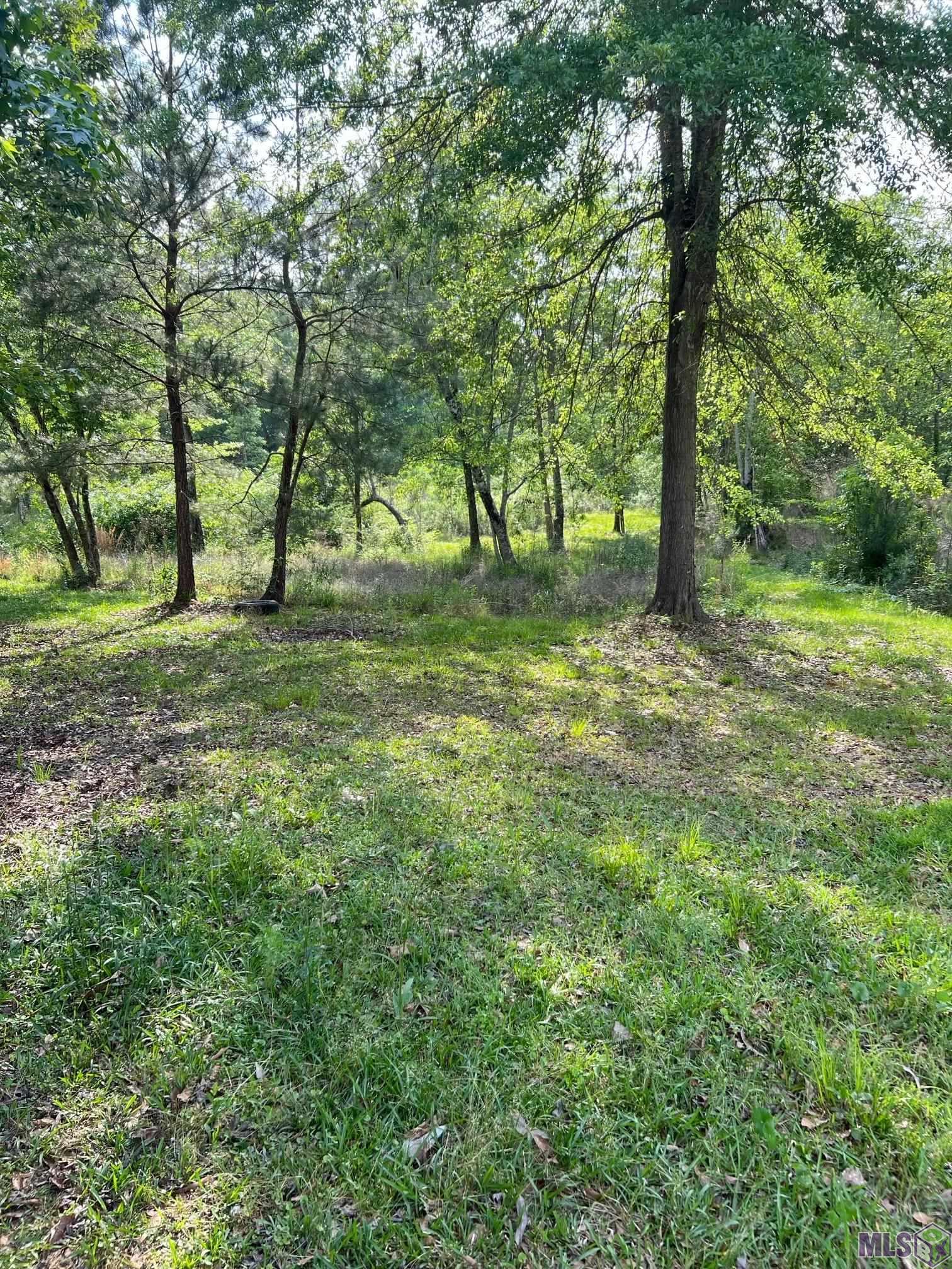 15437 N Jones Rd, Bogalusa, Louisiana image 10