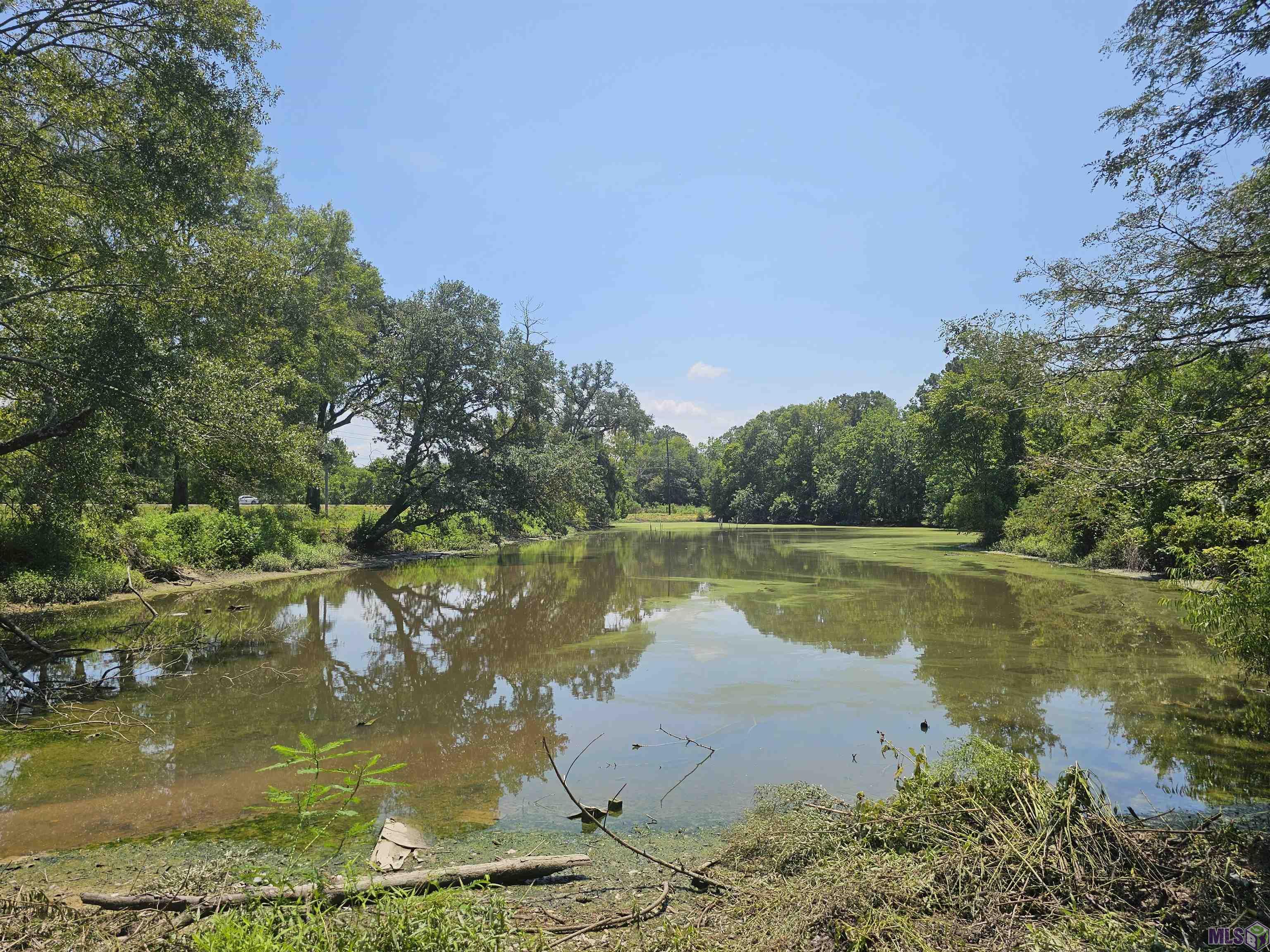 TBD La Hwy 931, Prairieville, Louisiana image 1