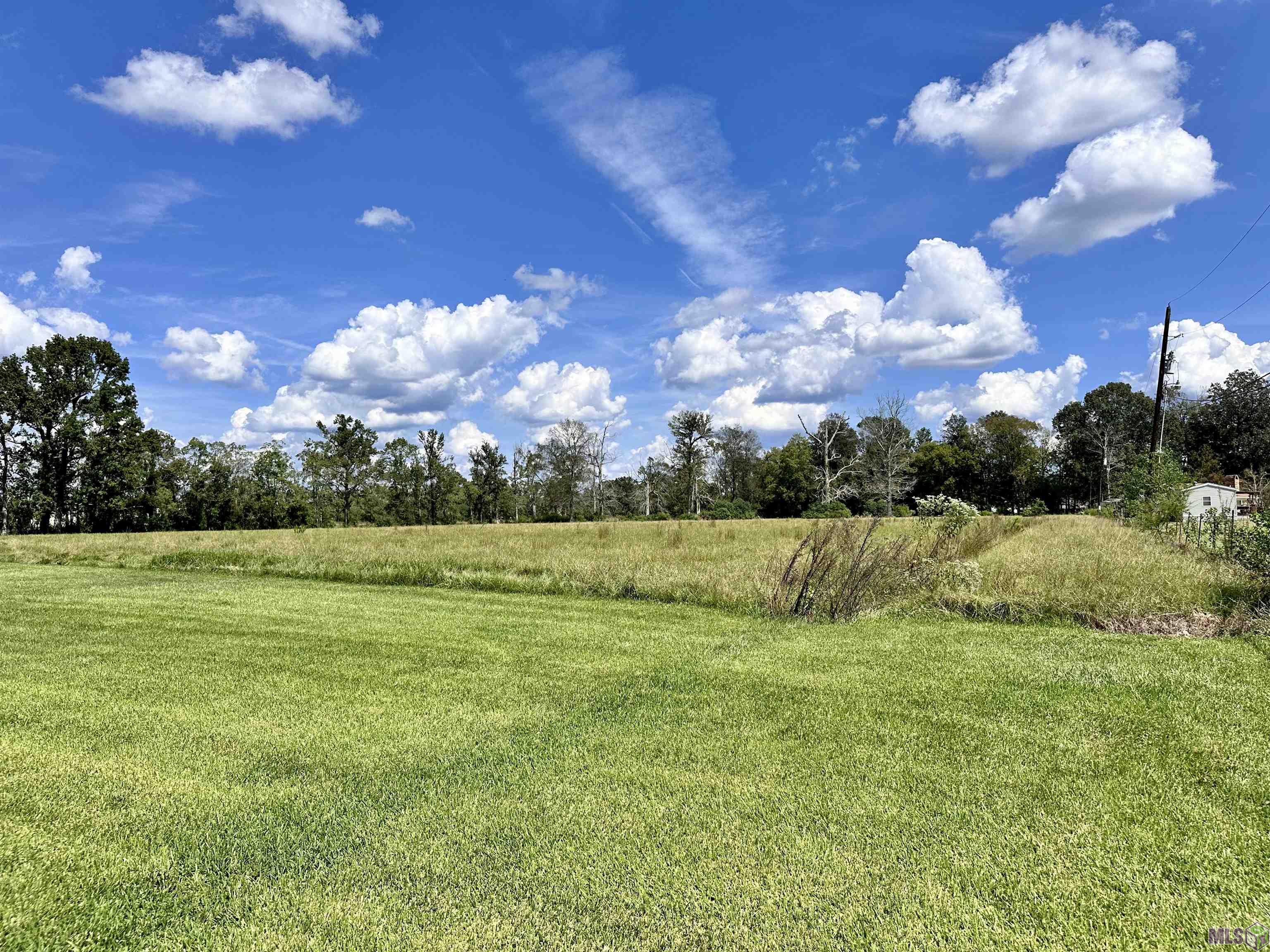 TBD La Hwy 44, Prairieville, Louisiana image 5