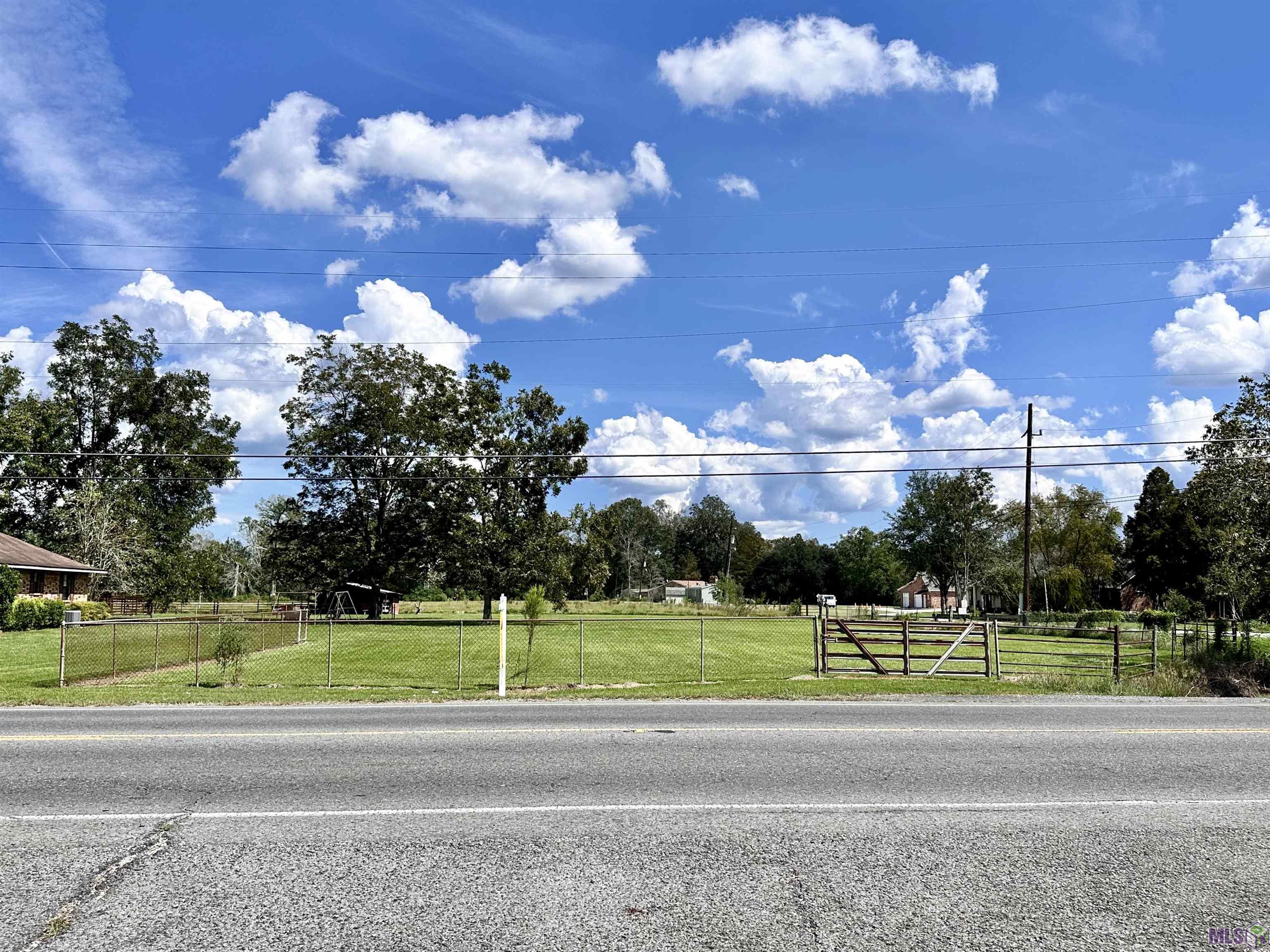 TBD La Hwy 44, Prairieville, Louisiana image 8