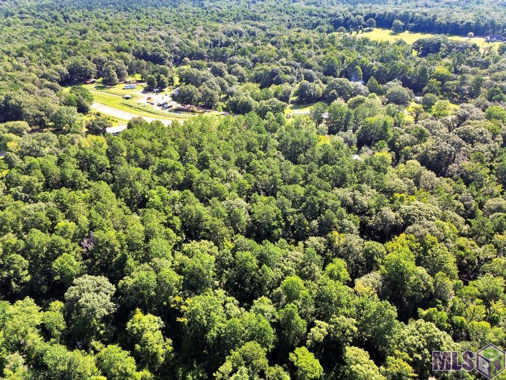 Johnny Martin Rd, Franklinton, Louisiana image 8