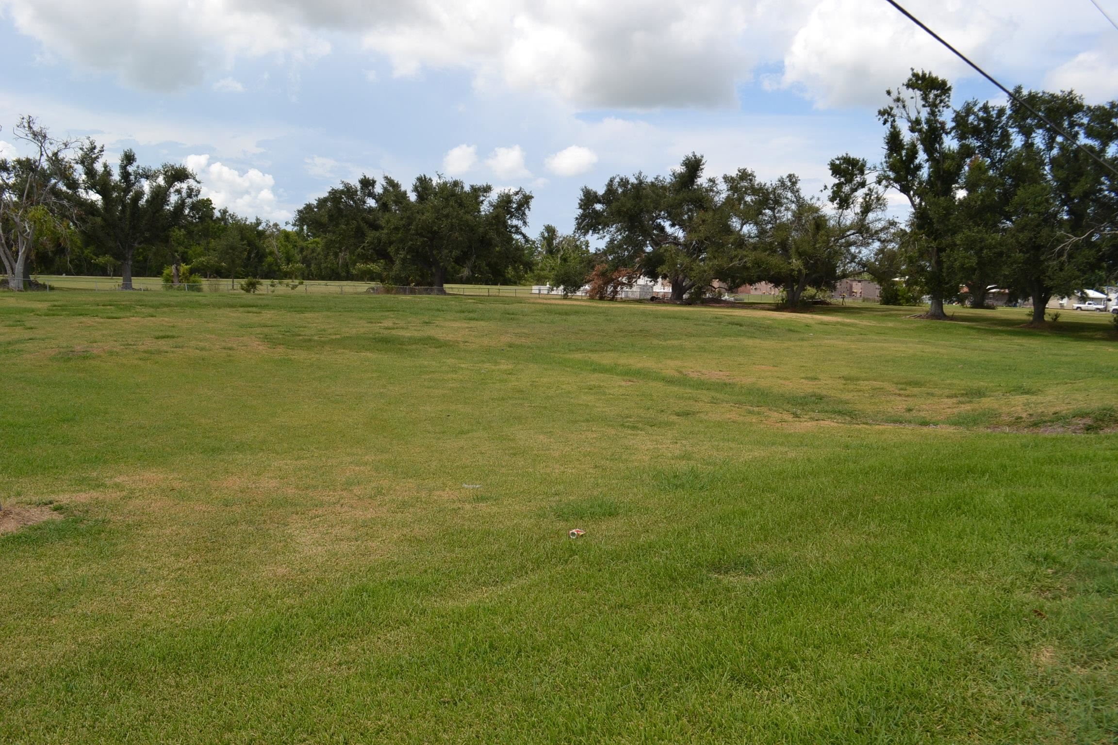 LOT 1 Oakridge Dr, Golden Meadow, Louisiana image 6