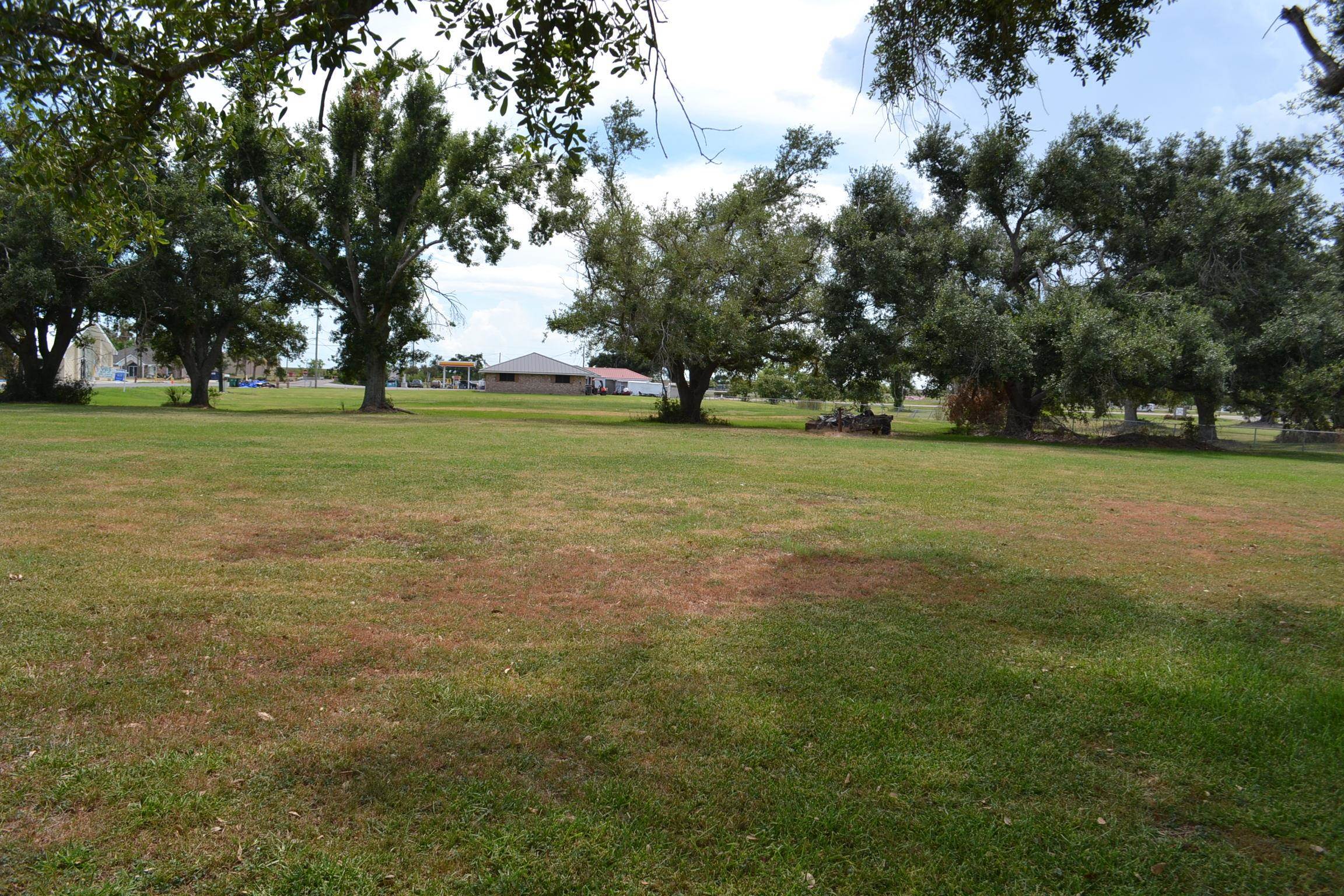 LOT 1 Oakridge Dr, Golden Meadow, Louisiana image 9