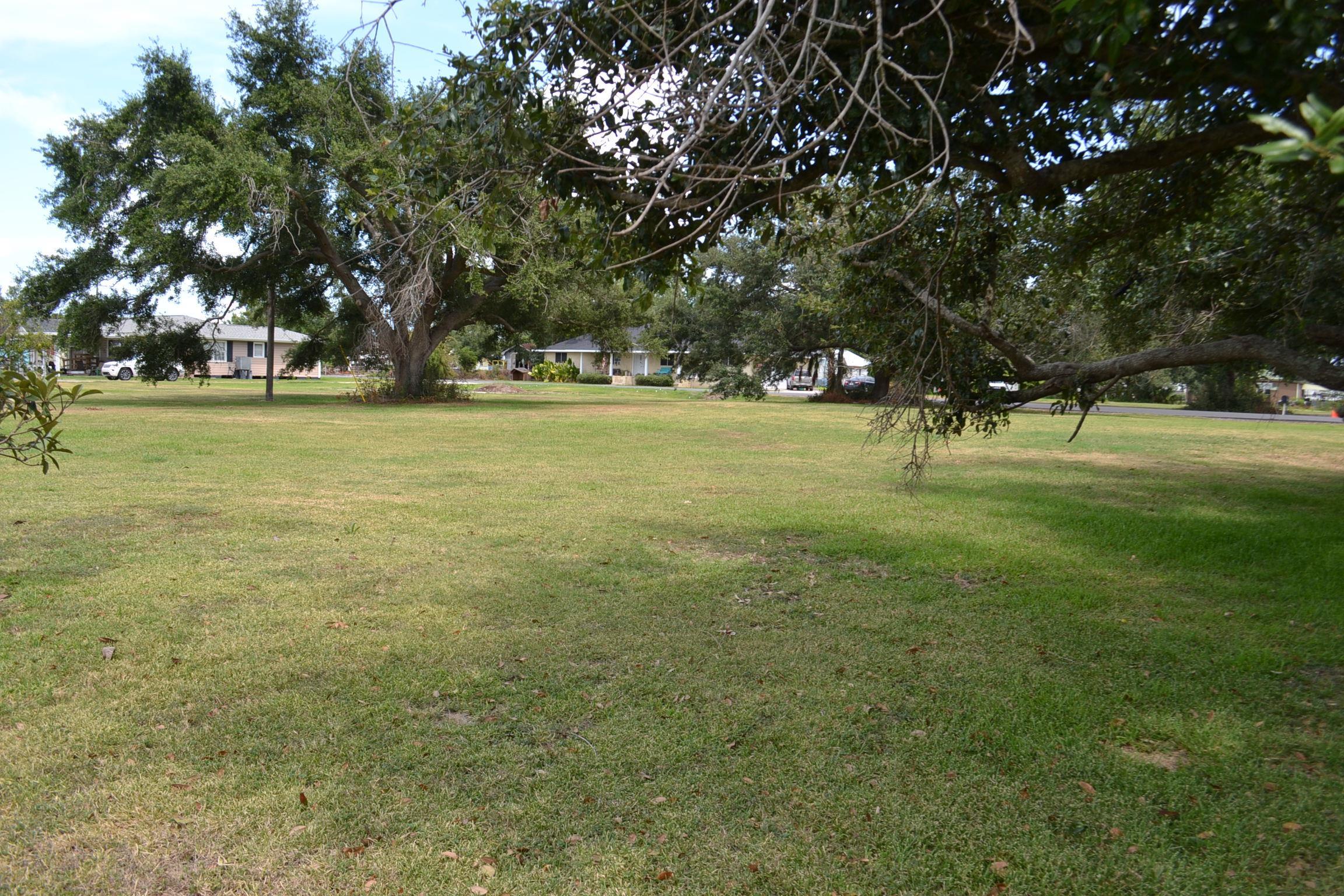 LOT 1 Oakridge Dr, Golden Meadow, Louisiana image 3