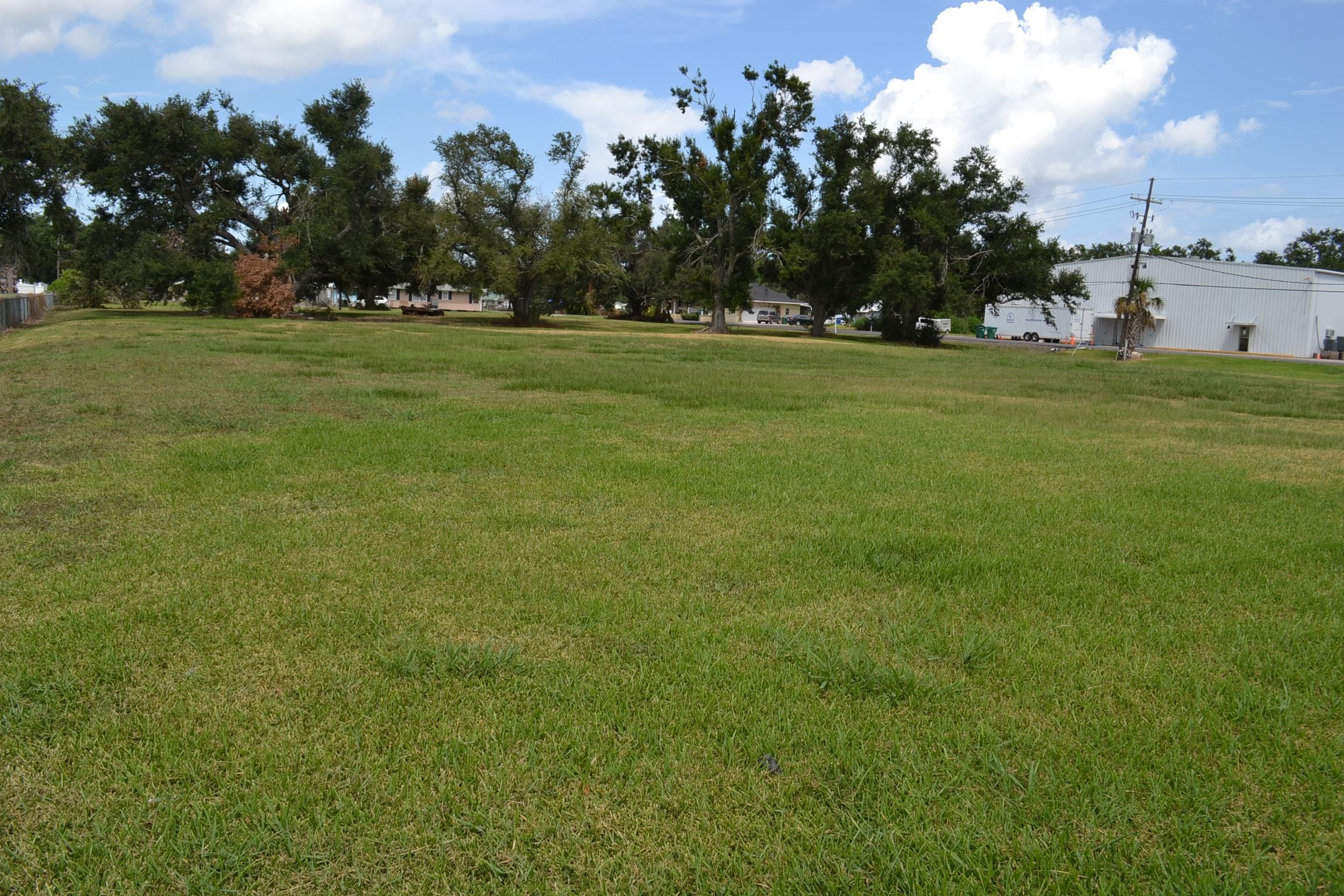 LOT 1 Oakridge Dr, Golden Meadow, Louisiana image 5