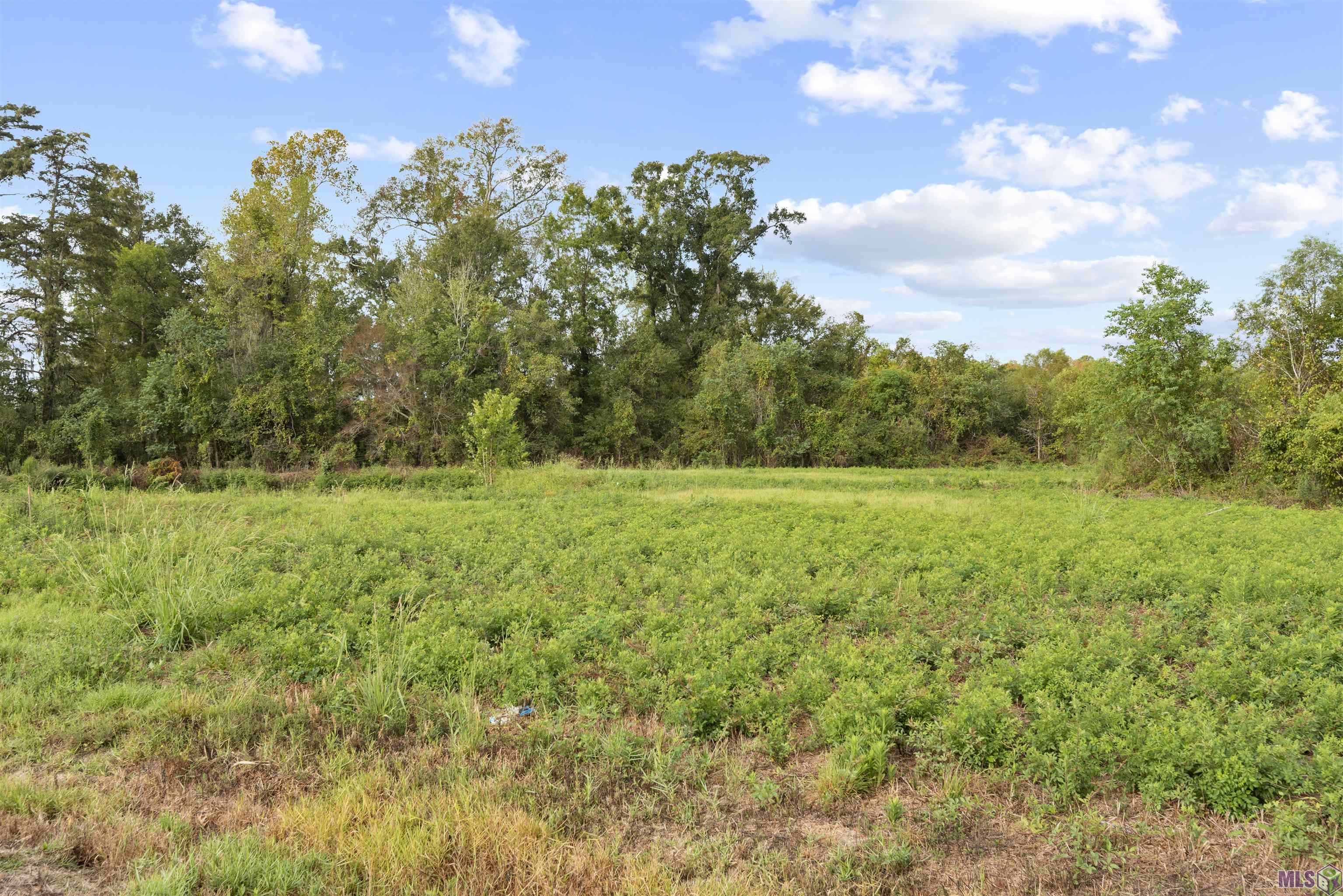 TBD Lot 19-A Amite Acres, Prairieville, Louisiana image 2