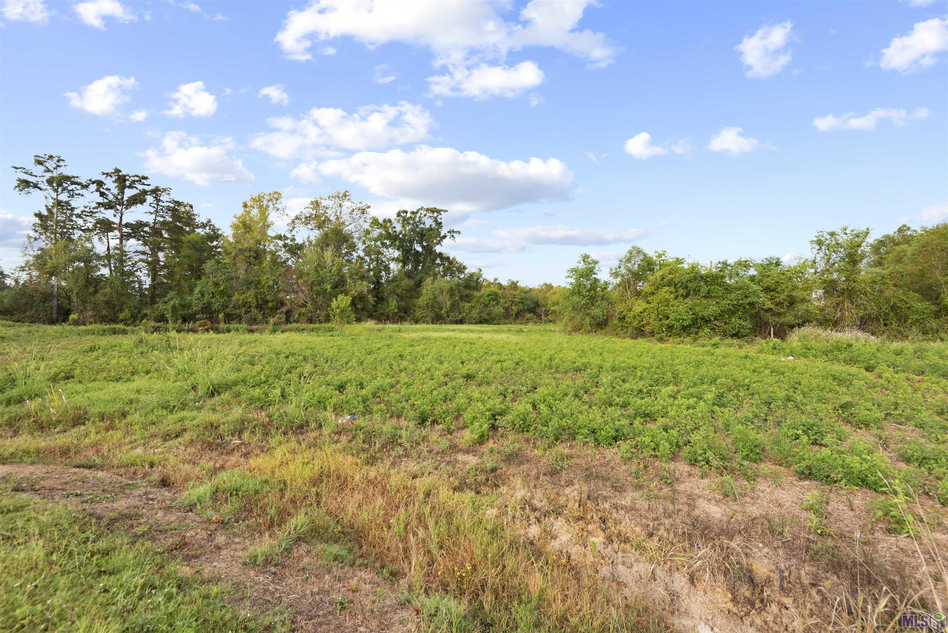 TBD Lot 19-A Amite Acres, Prairieville, Louisiana image 1