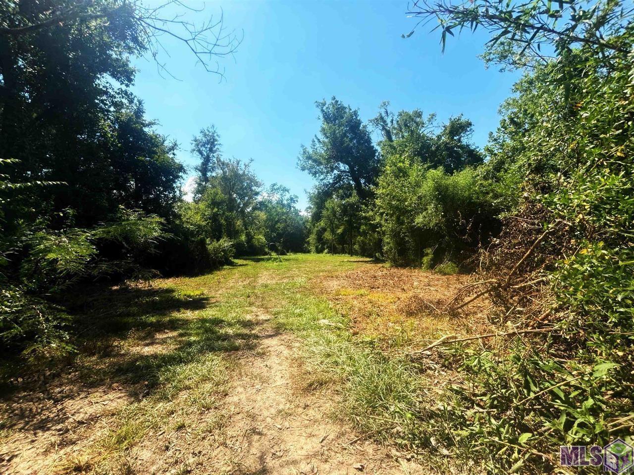 18668 Muddy Creek Rd, Prairieville, Louisiana image 9