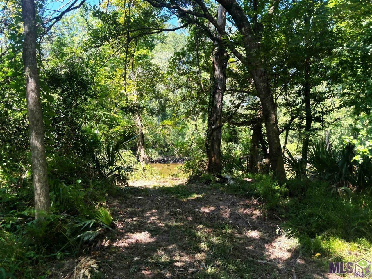 18668 Muddy Creek Rd, Prairieville, Louisiana image 7