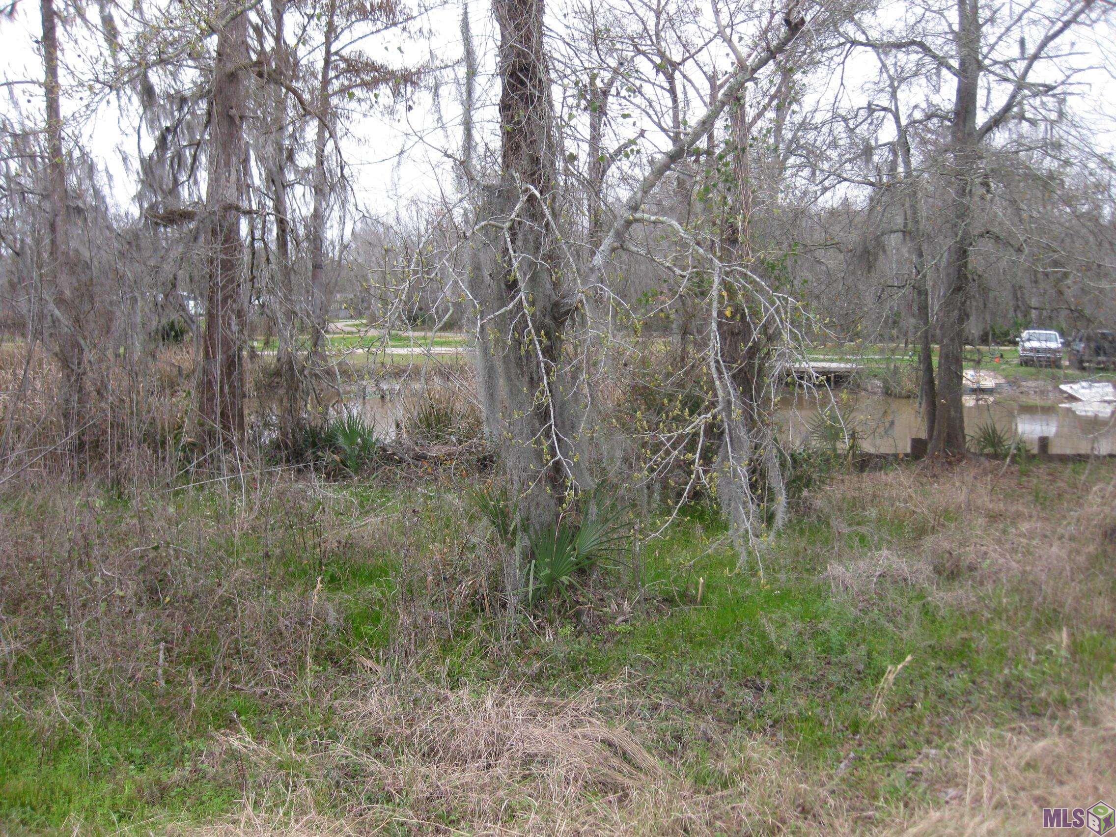 Lot # 2A & 2B La Hwy 22, Maurepas, Louisiana image 4