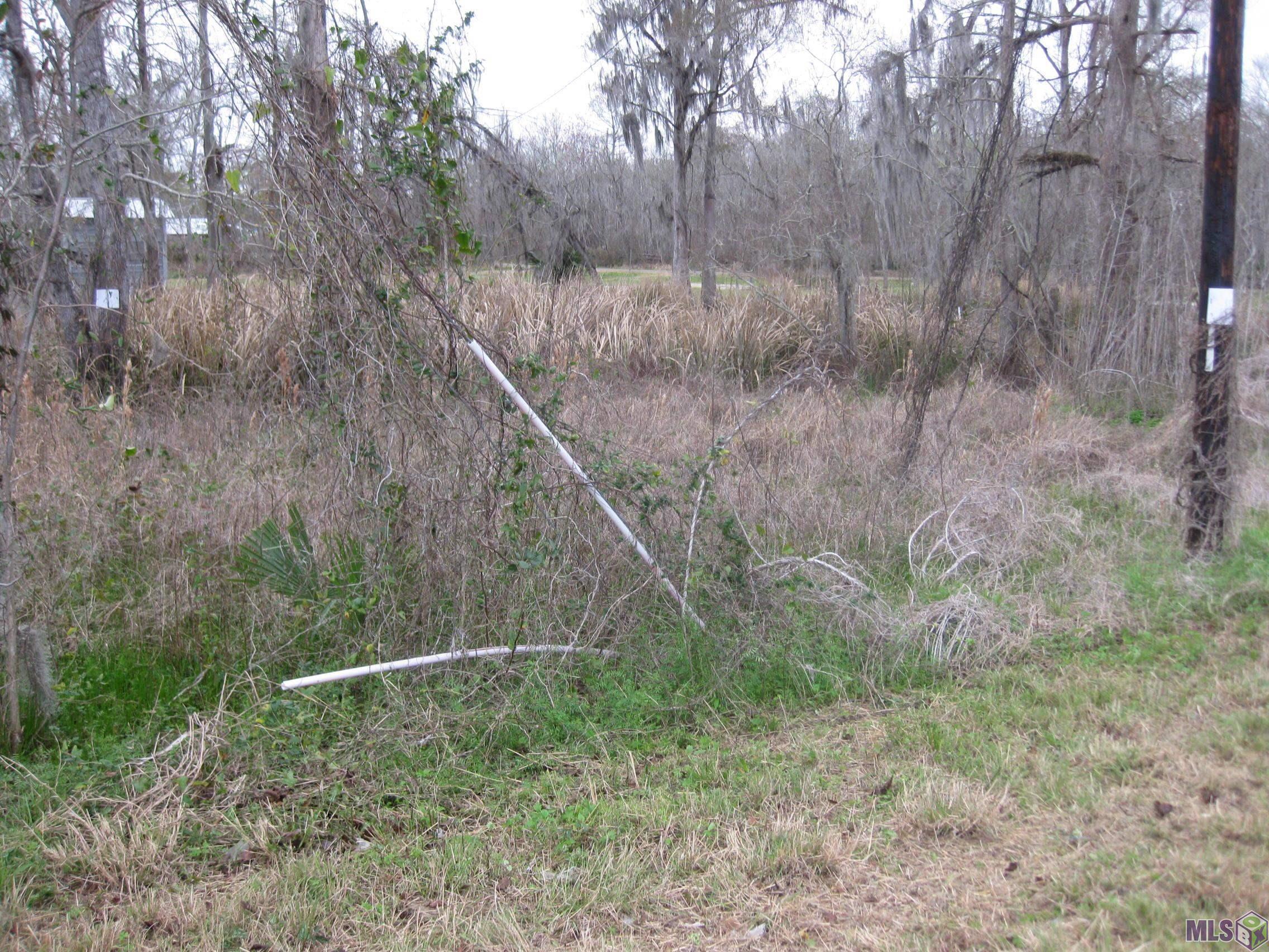 Lot # 2A & 2B La Hwy 22, Maurepas, Louisiana image 3