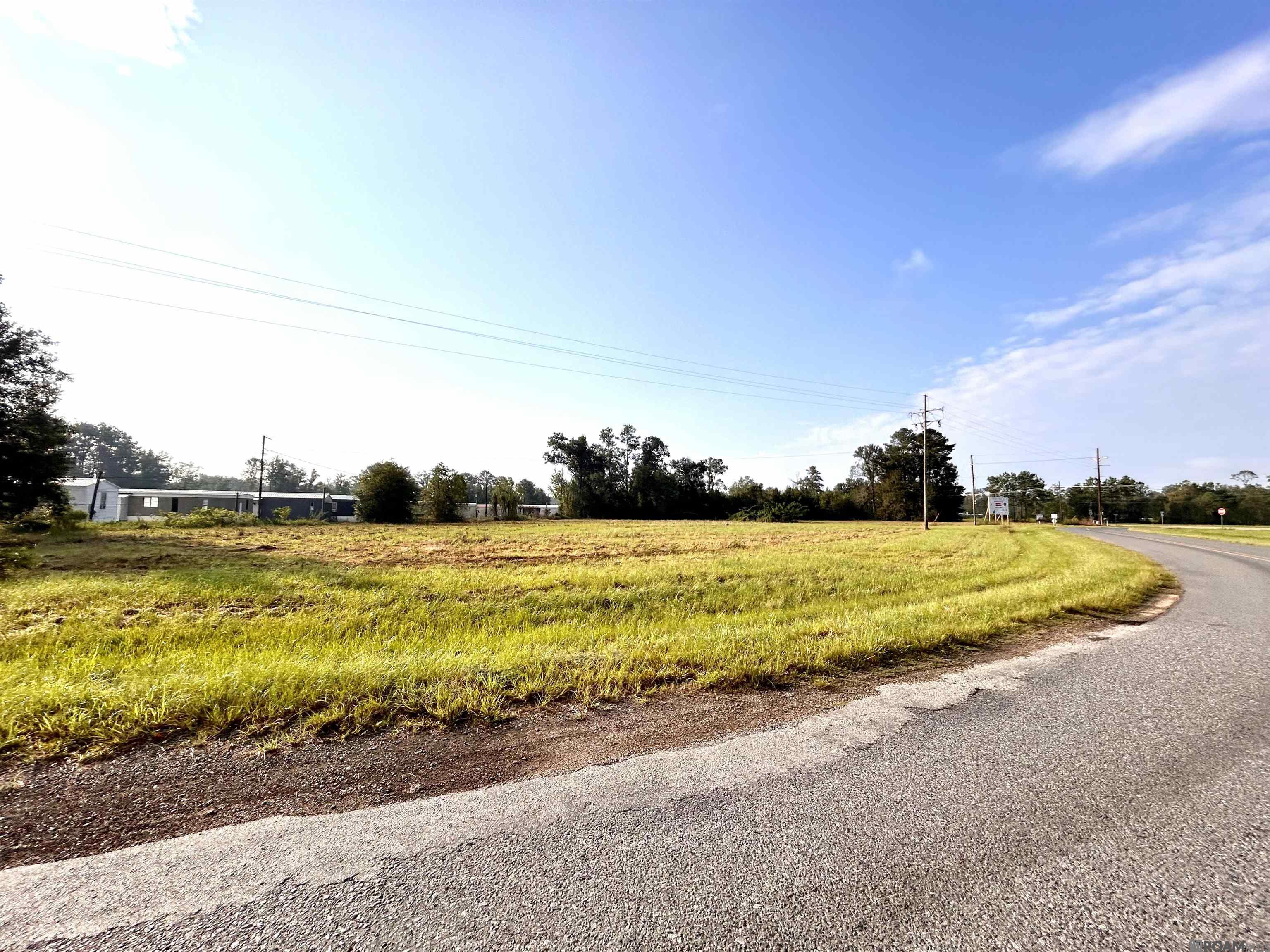 TBD La Hwy 43, Albany, Louisiana image 2