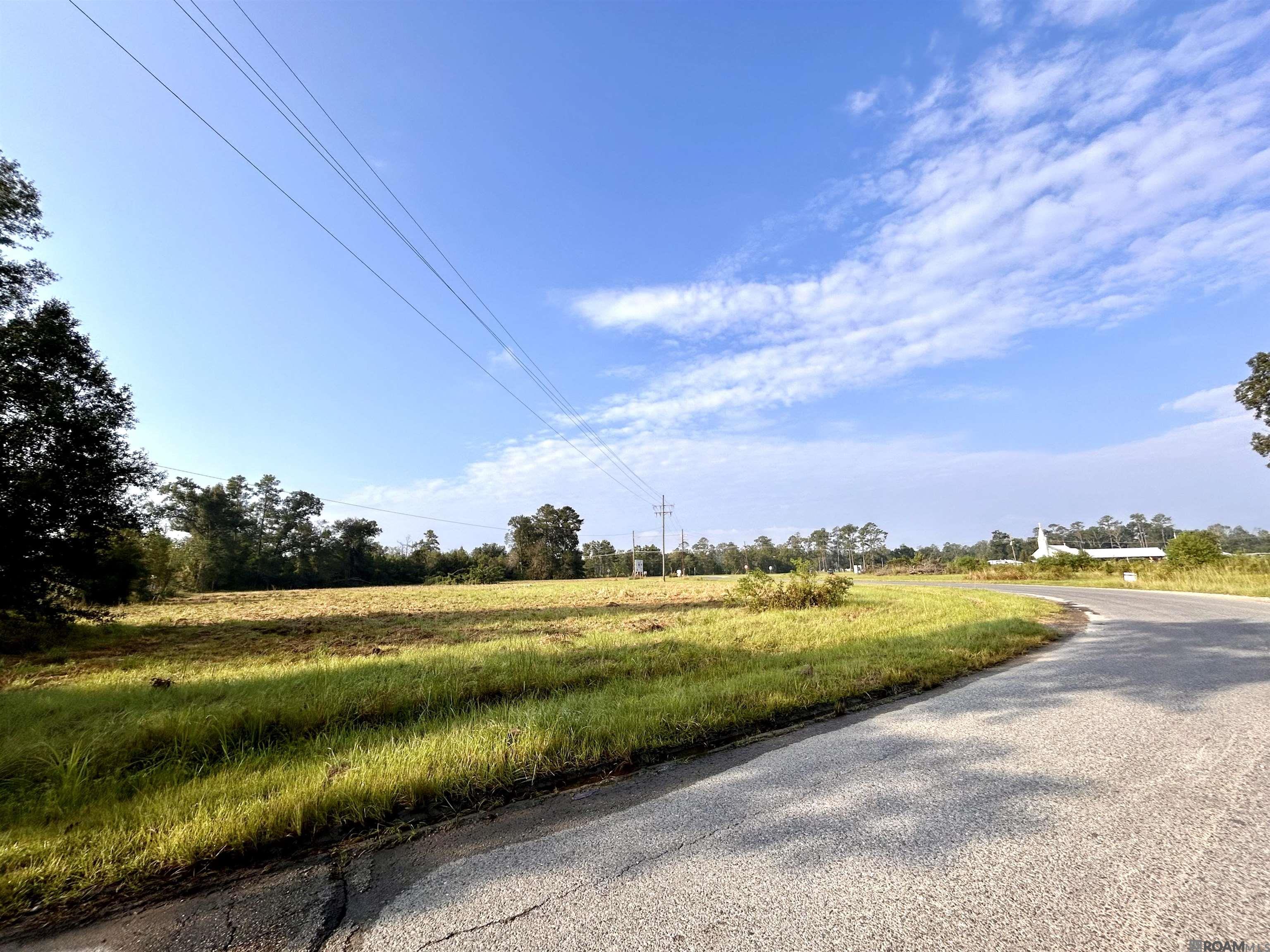 TBD La Hwy 43, Albany, Louisiana image 3