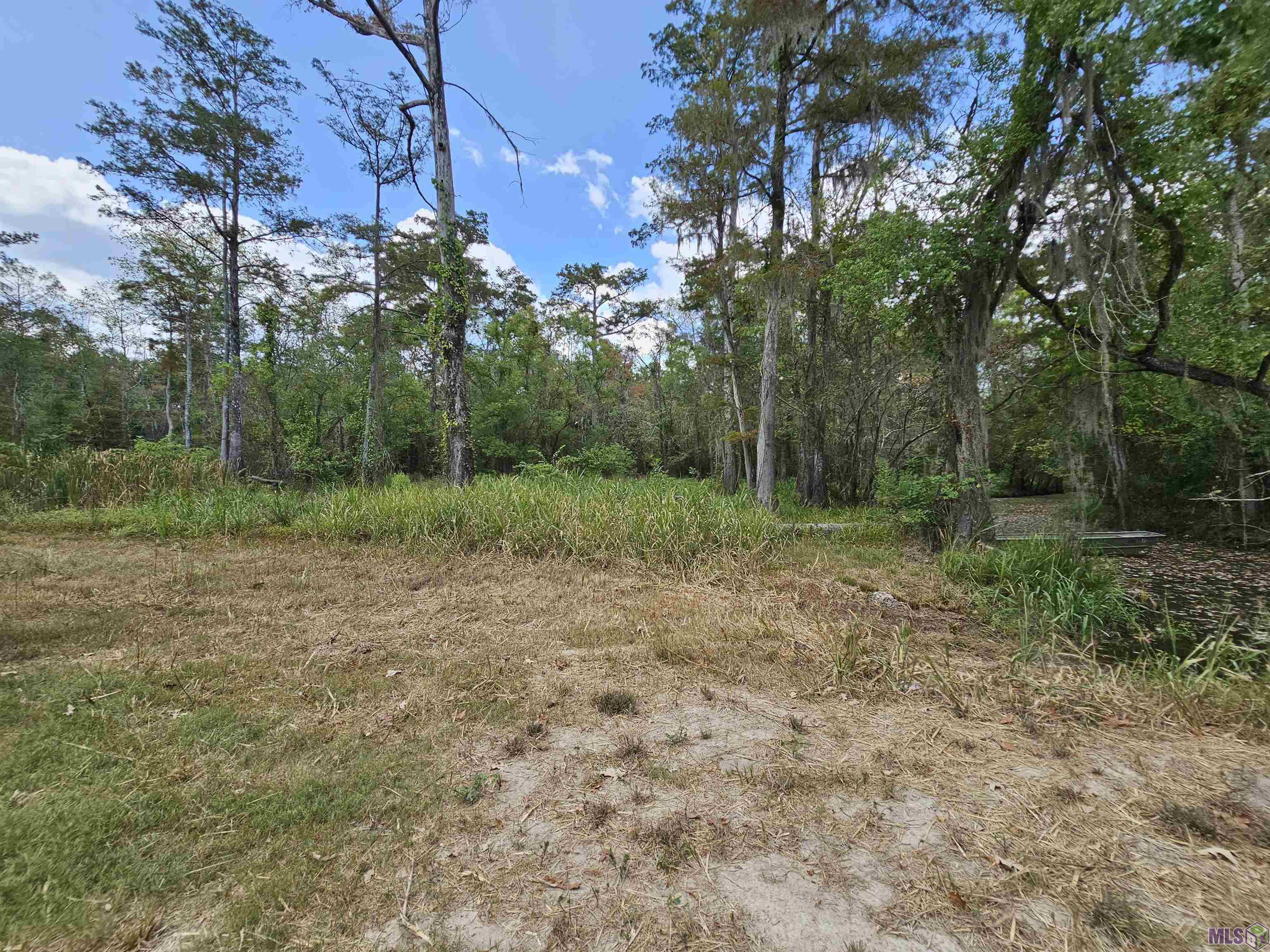 19128 Aydell Ln, French Settlement, Louisiana image 3