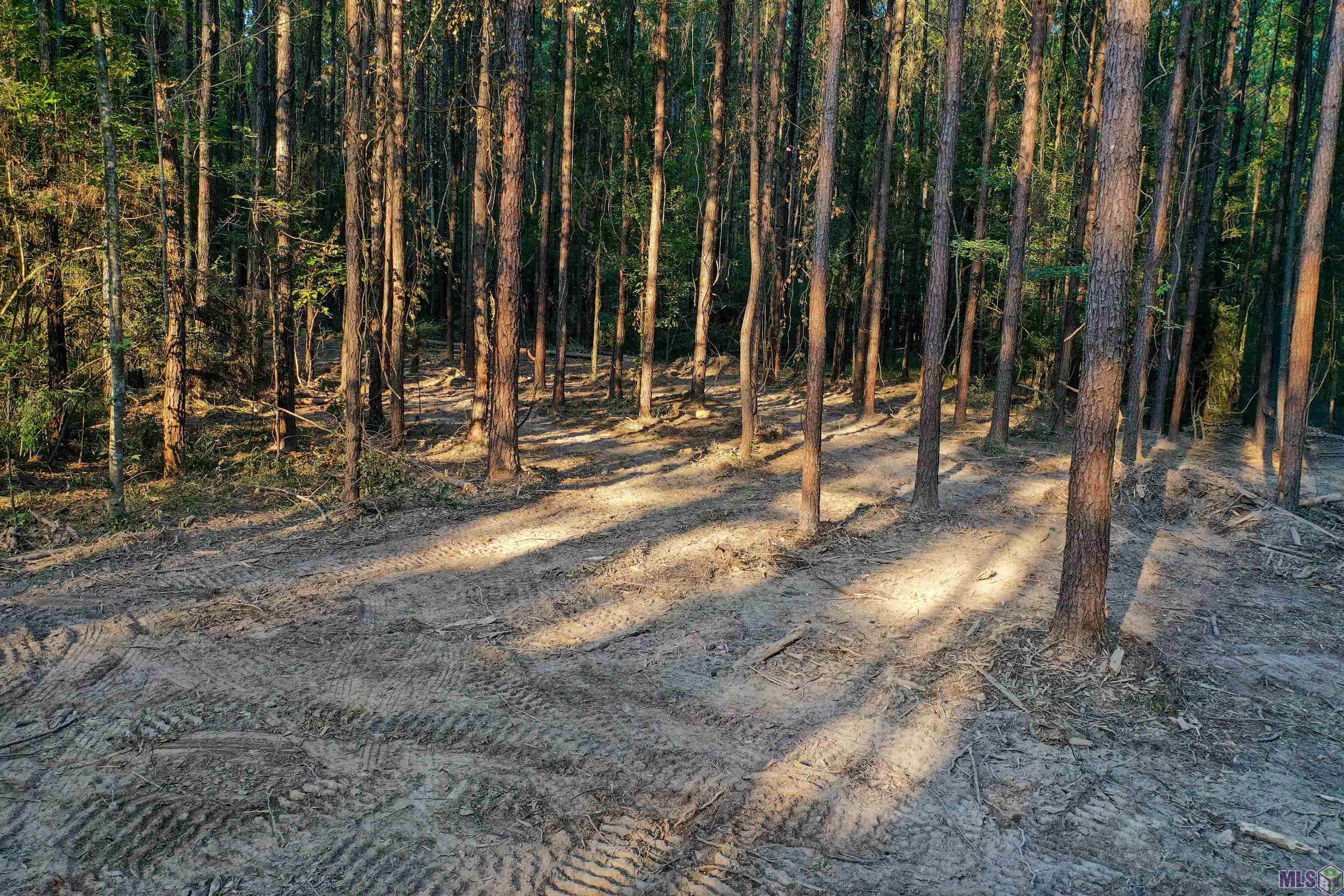 Lot 21 La Hwy 449, Pine Grove, Louisiana image 3