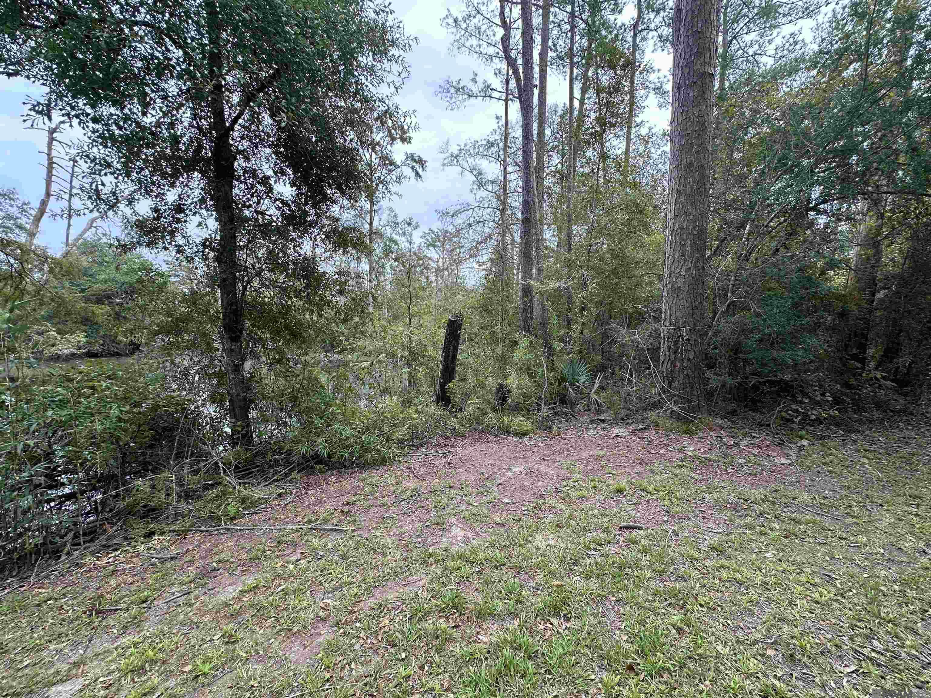 TBD Happywoods Rd, Springfield, Louisiana image 11