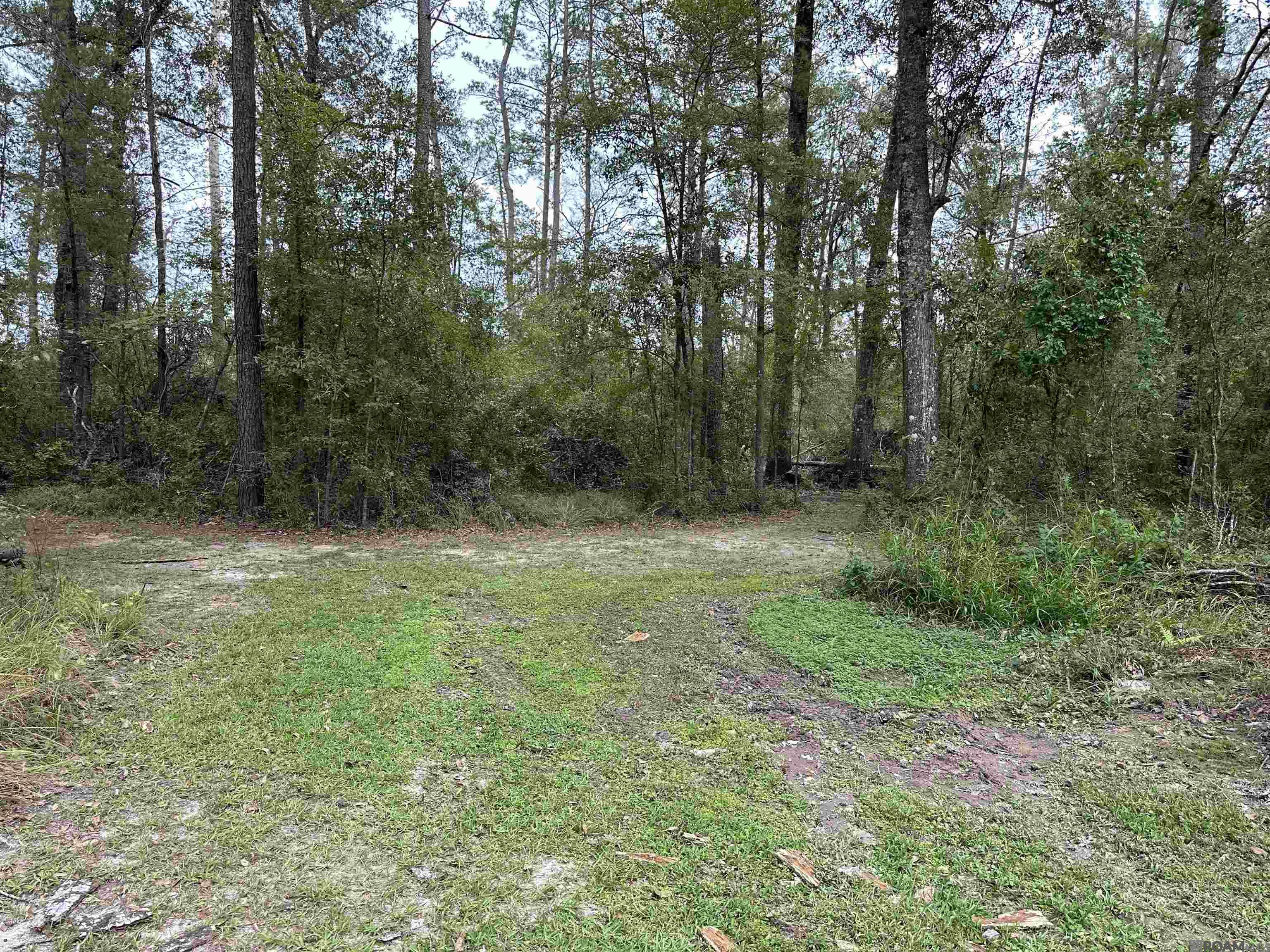 TBD Happywoods Rd, Springfield, Louisiana image 16