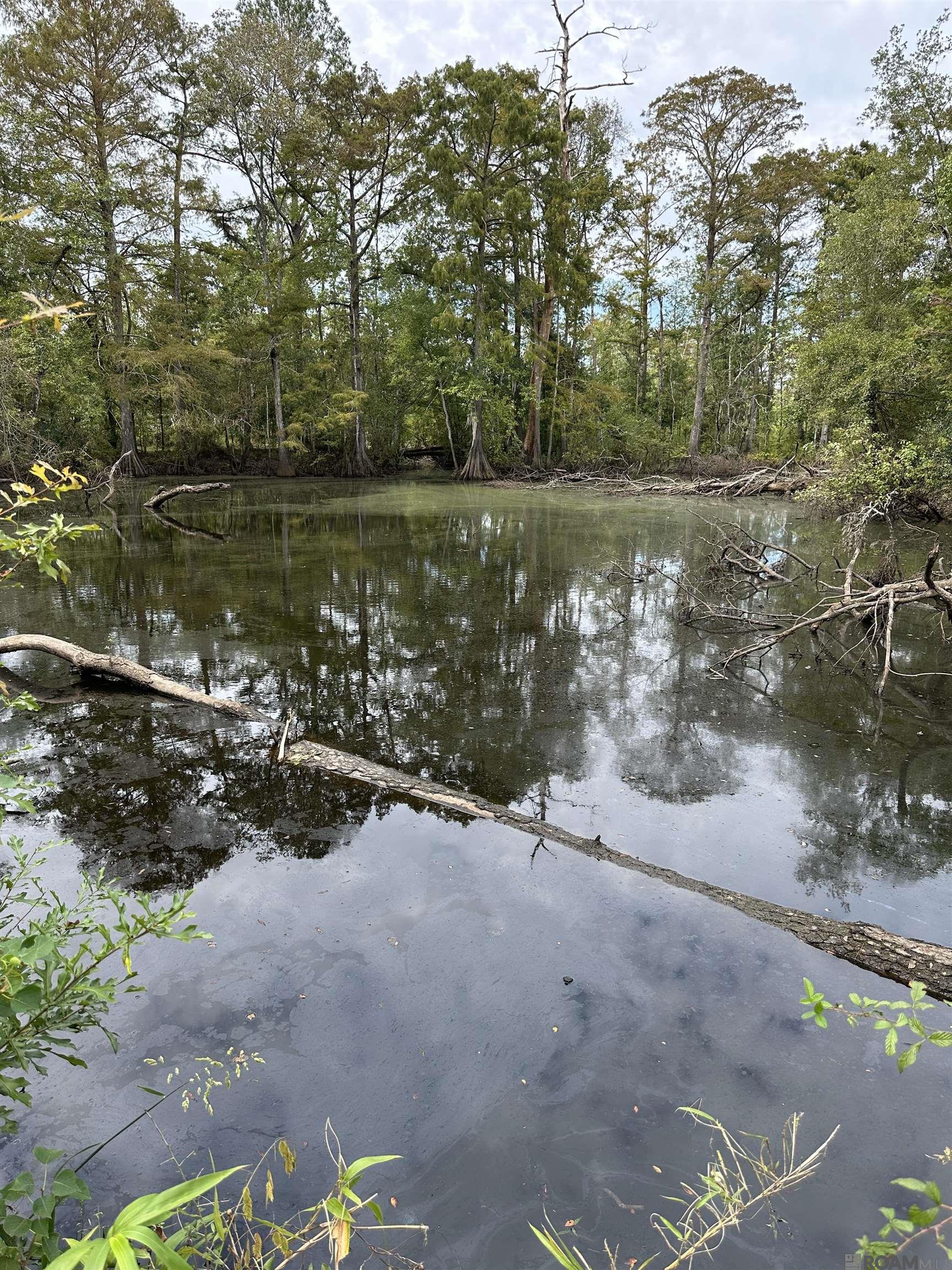 TBD Happywoods Rd, Springfield, Louisiana image 4