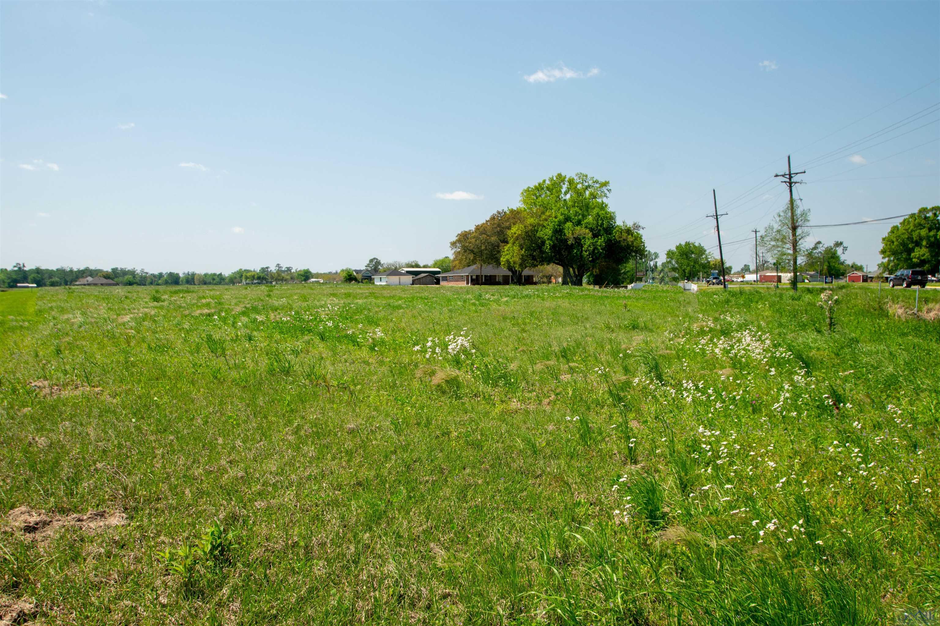 2829 Bayou Blue Rd, Houma, Louisiana image 1