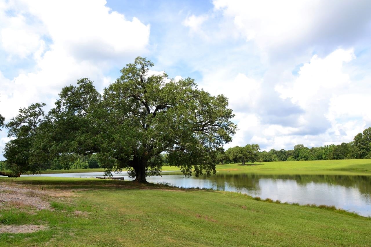 5507 - 5 La Hwy 966, Saint Francisville, Louisiana image 11