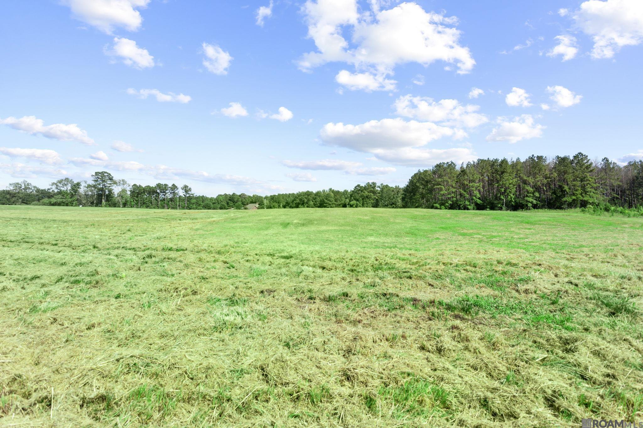 5507 - 5 La Hwy 966, Saint Francisville, Louisiana image 9