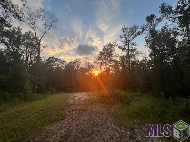 TBD Island Rd, Saint Francisville, Louisiana image 1