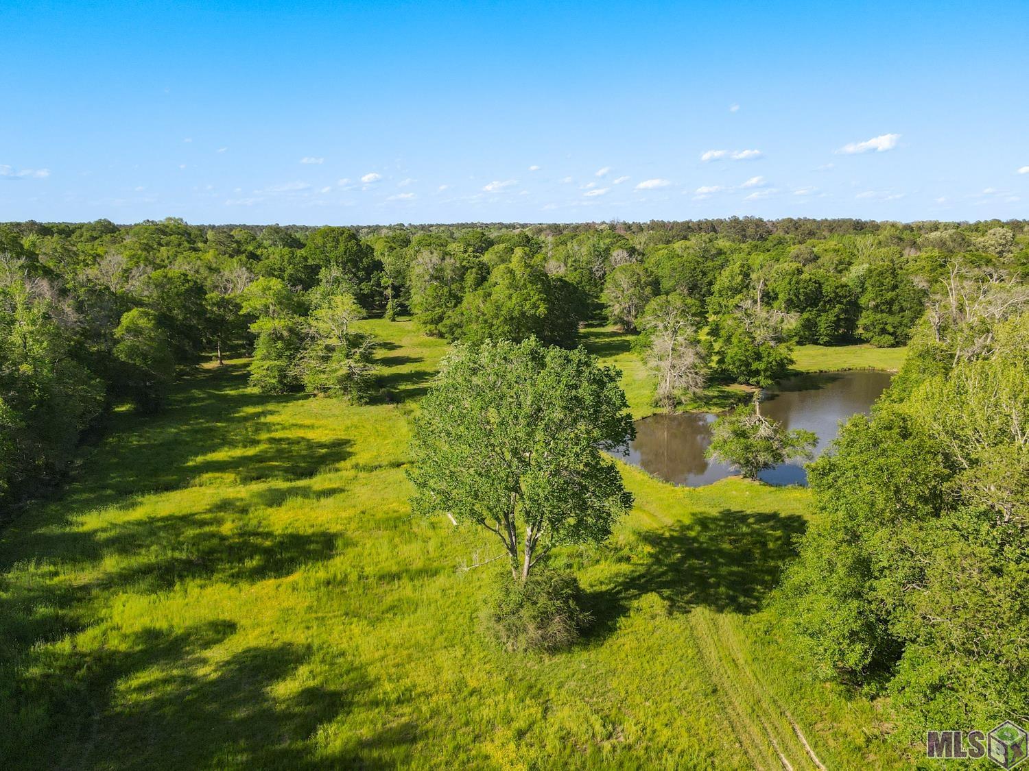 Greenwell Springs-port Hudson Rd, Pride, Louisiana image 6