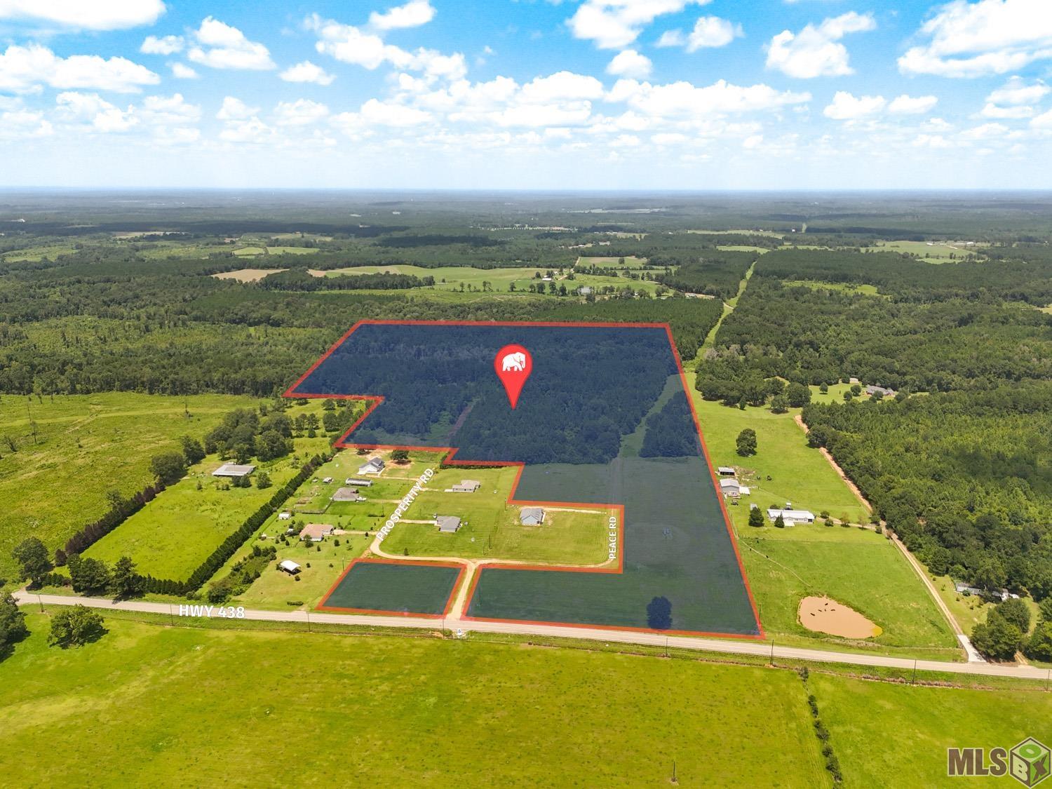 63 Acres Prosperity Road, Franklinton, Louisiana image 1